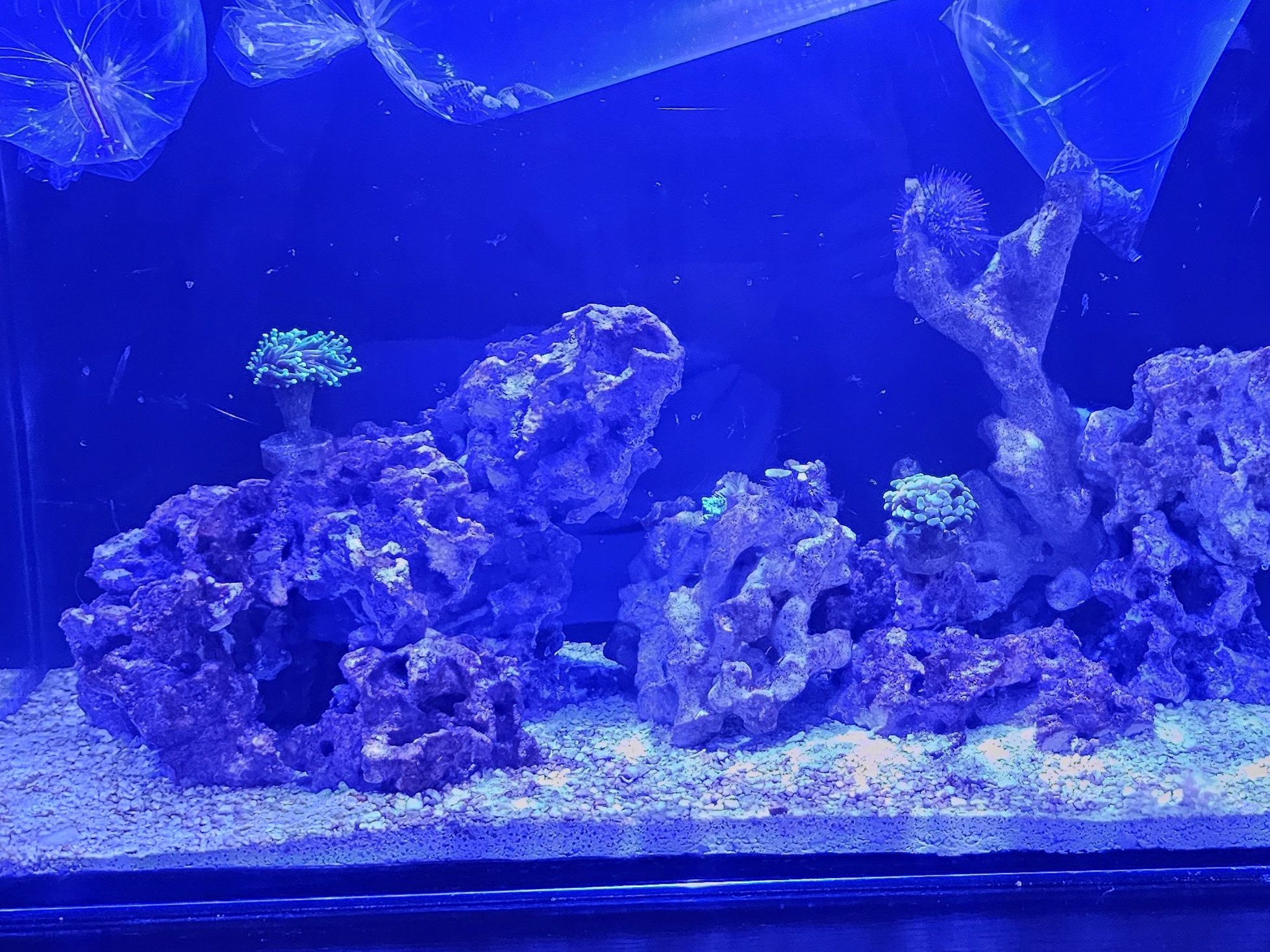 Tank Image