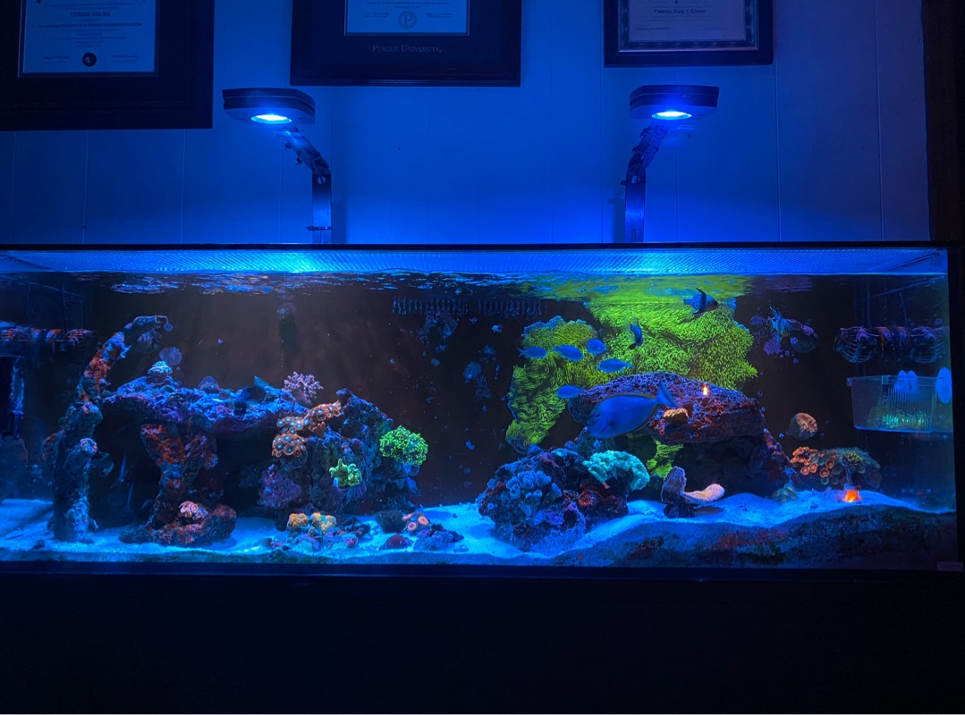 Tank Image