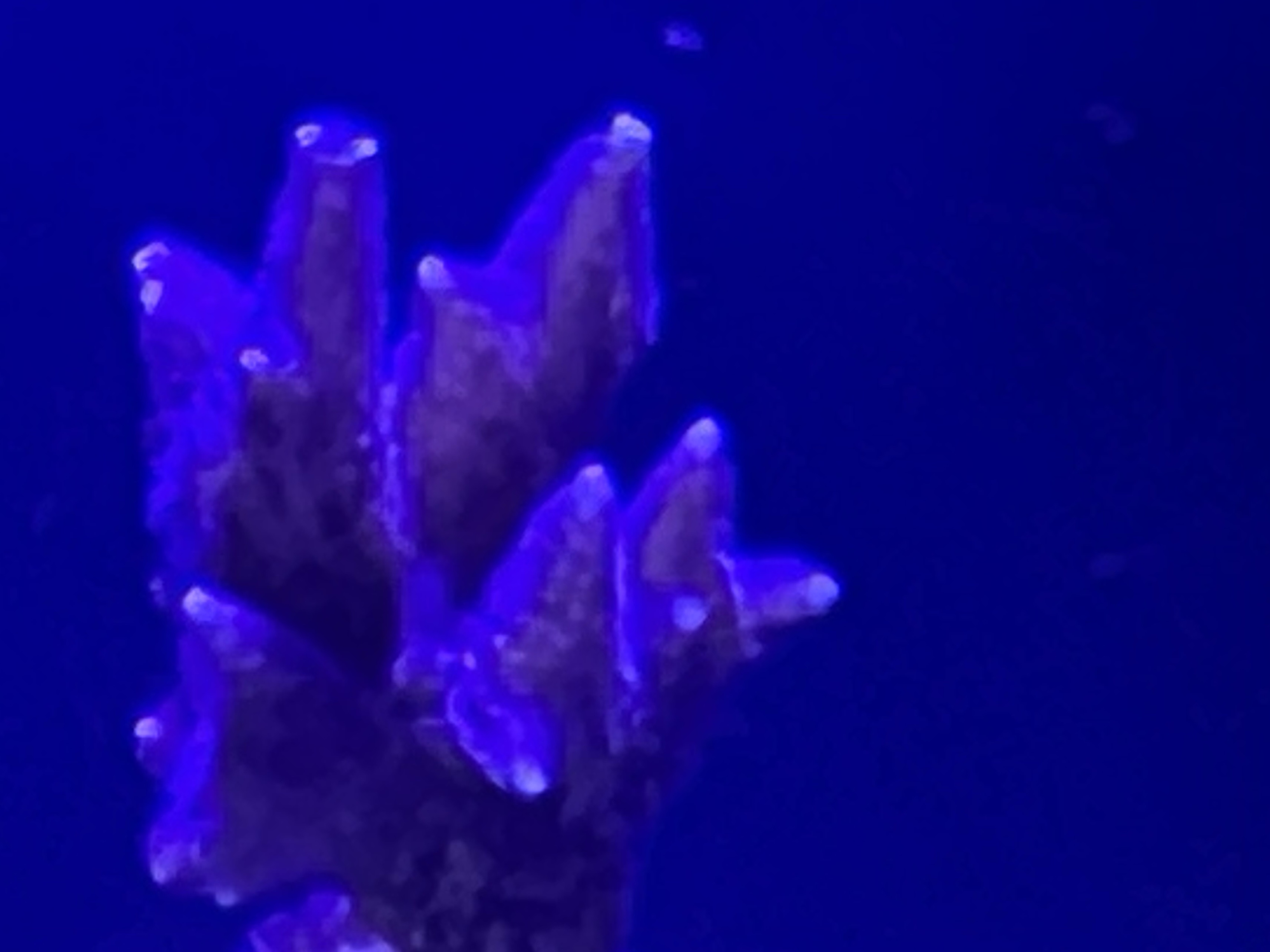 Tank Image