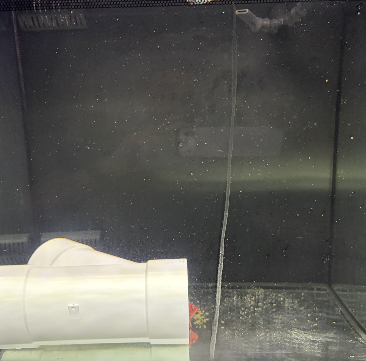 Tank Image