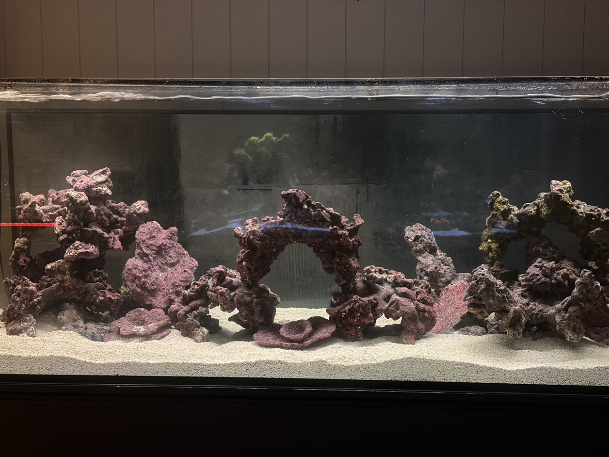 Tank Image