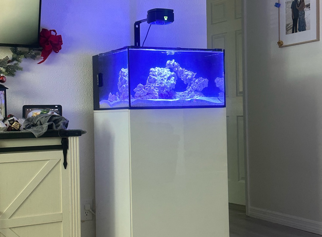 Tank Image