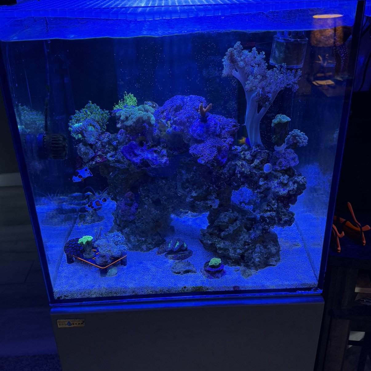 Tank Image