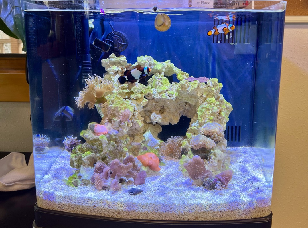 Tank Image