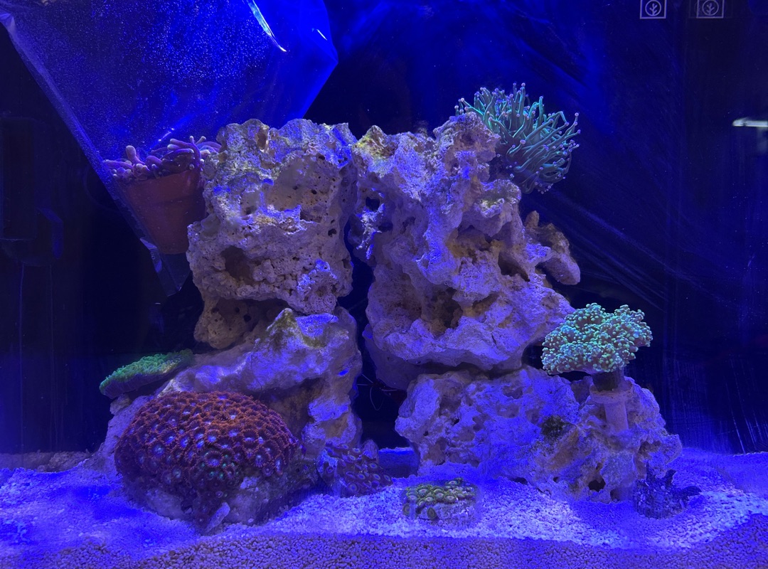 Tank Image