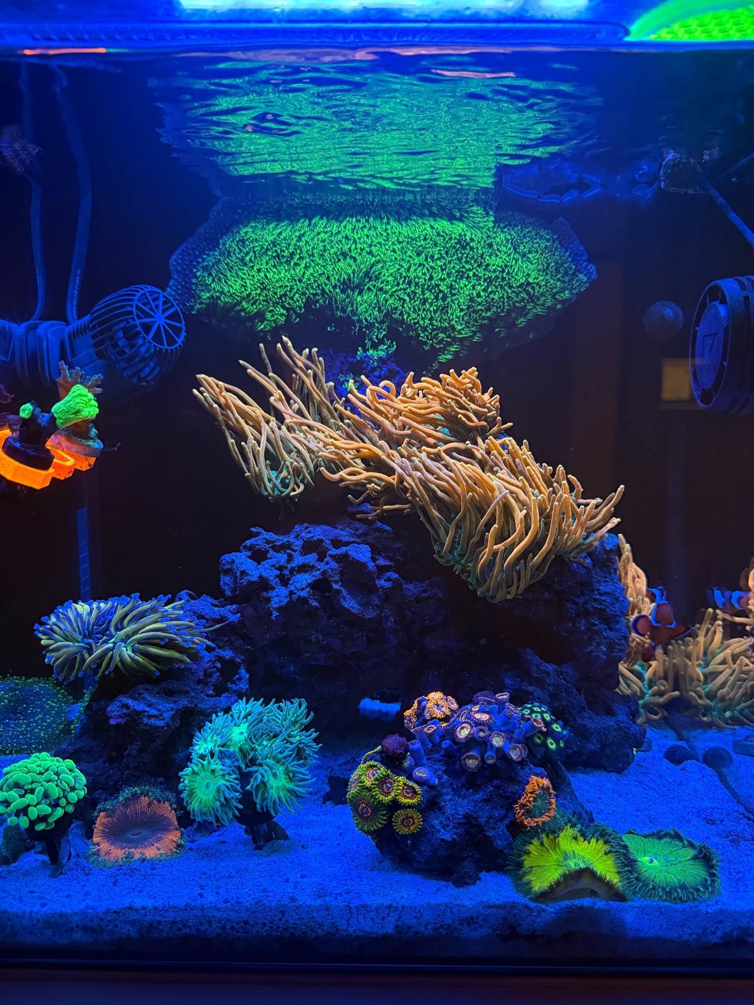 ReefBay post