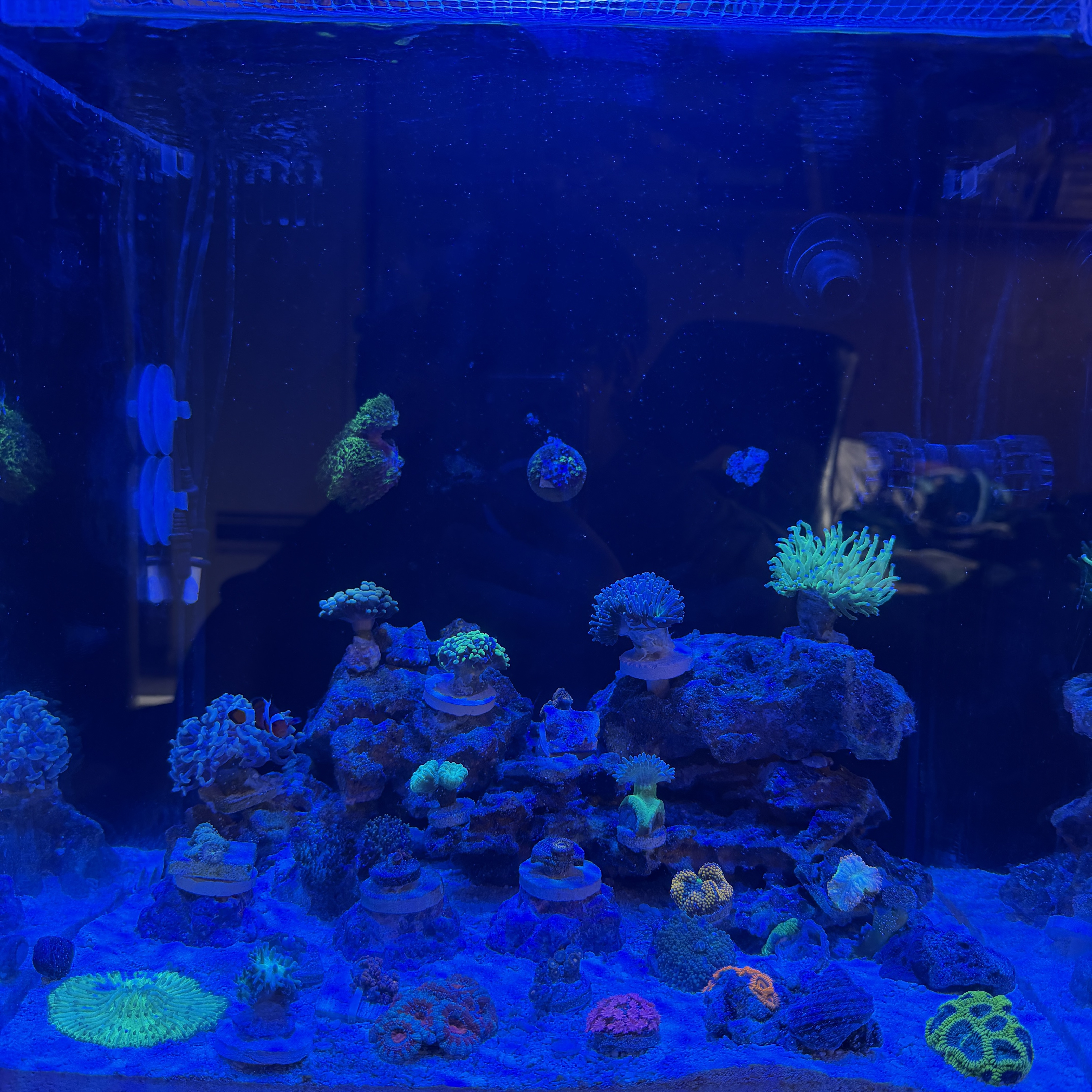 Tank Image