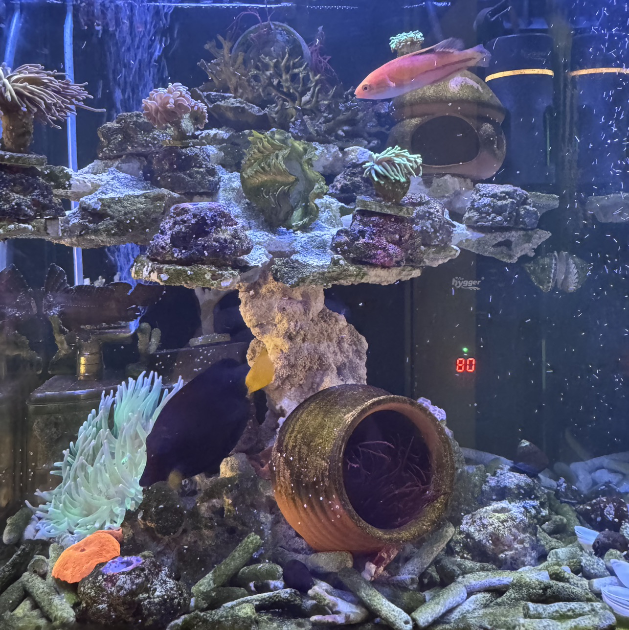 Tank Image