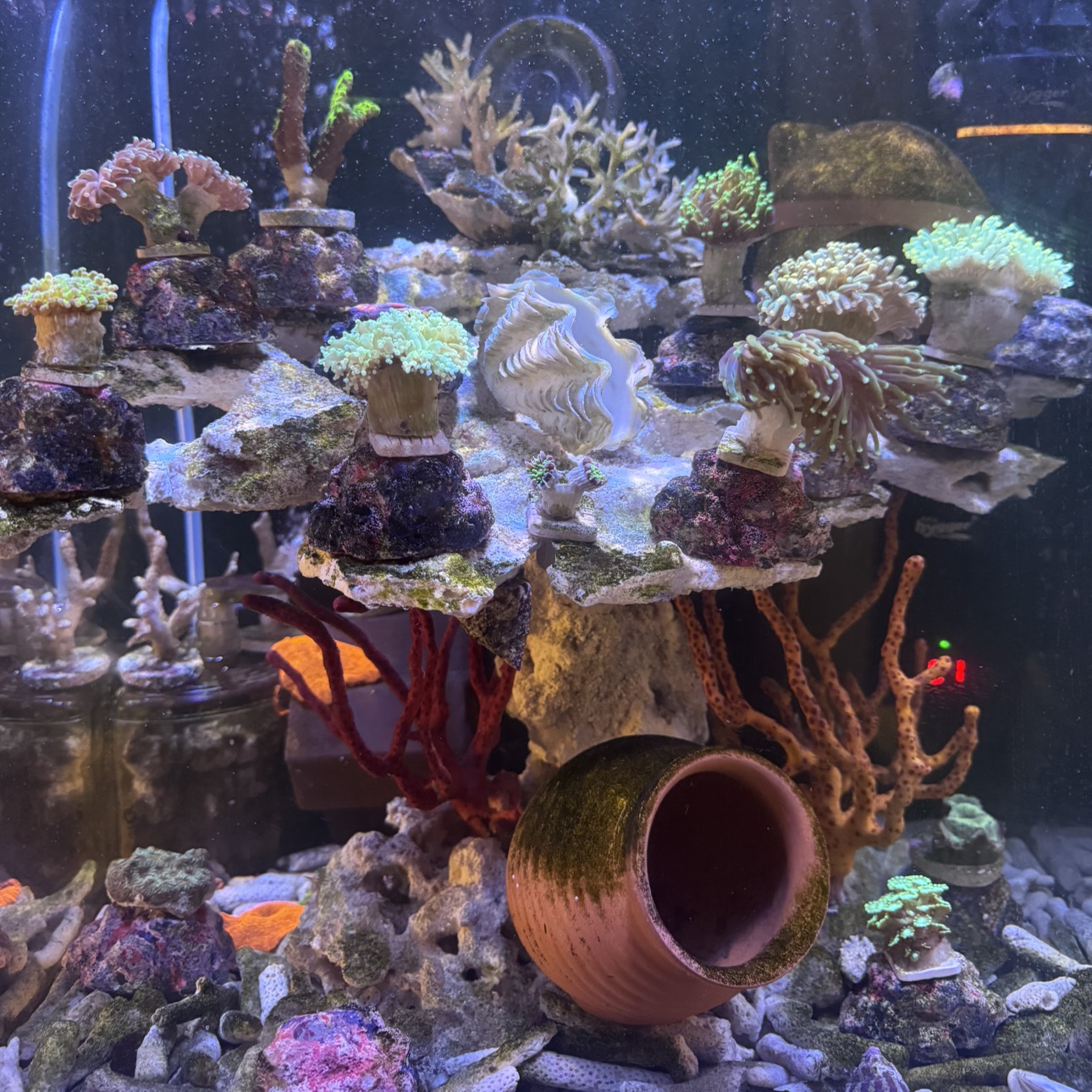 Tank Image