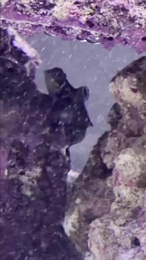 ReefBay post