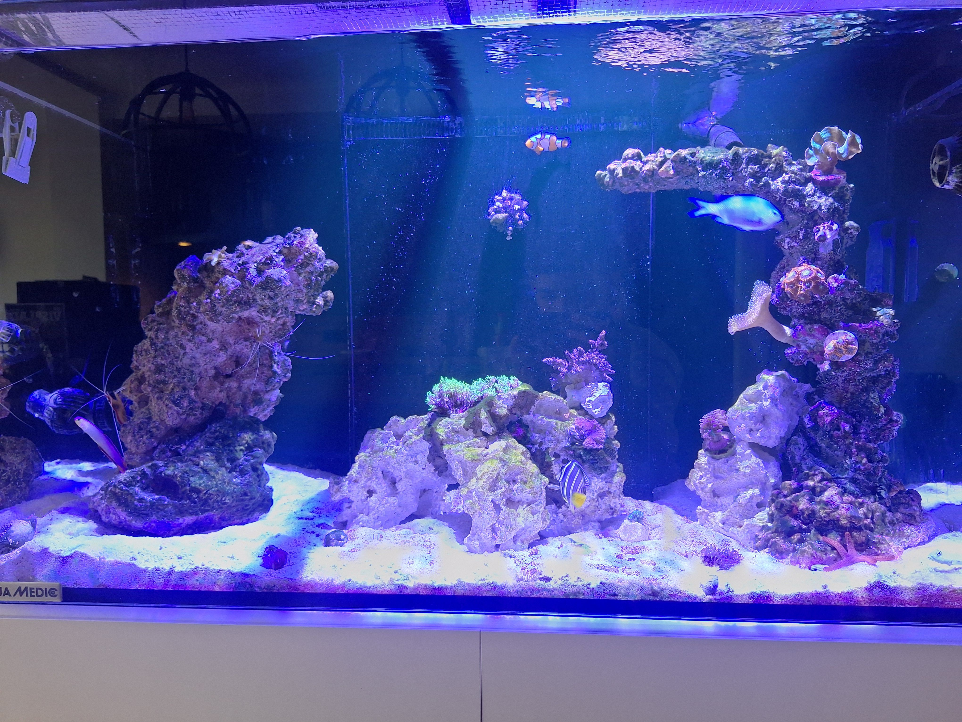 Tank Image