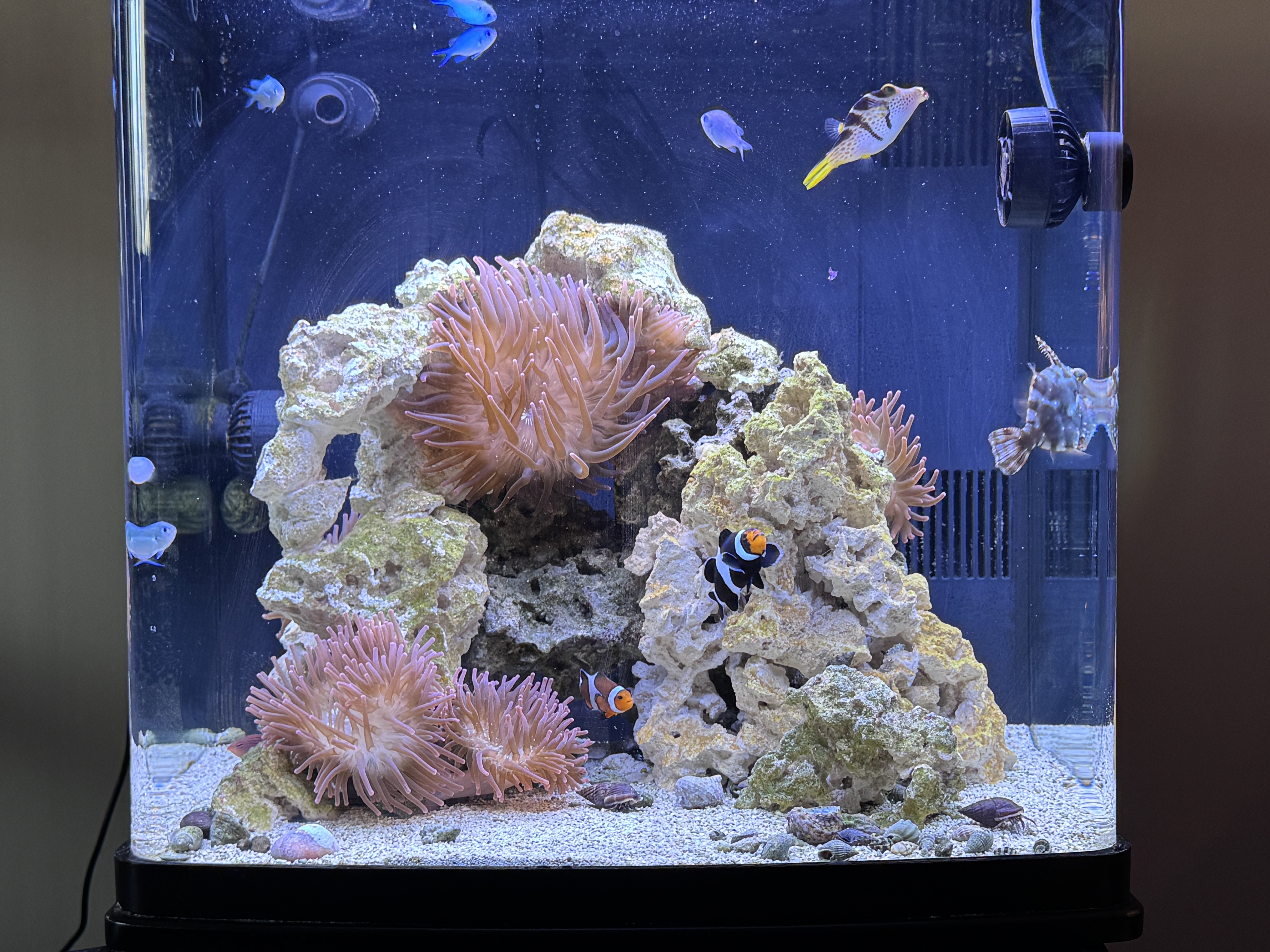 Tank Image