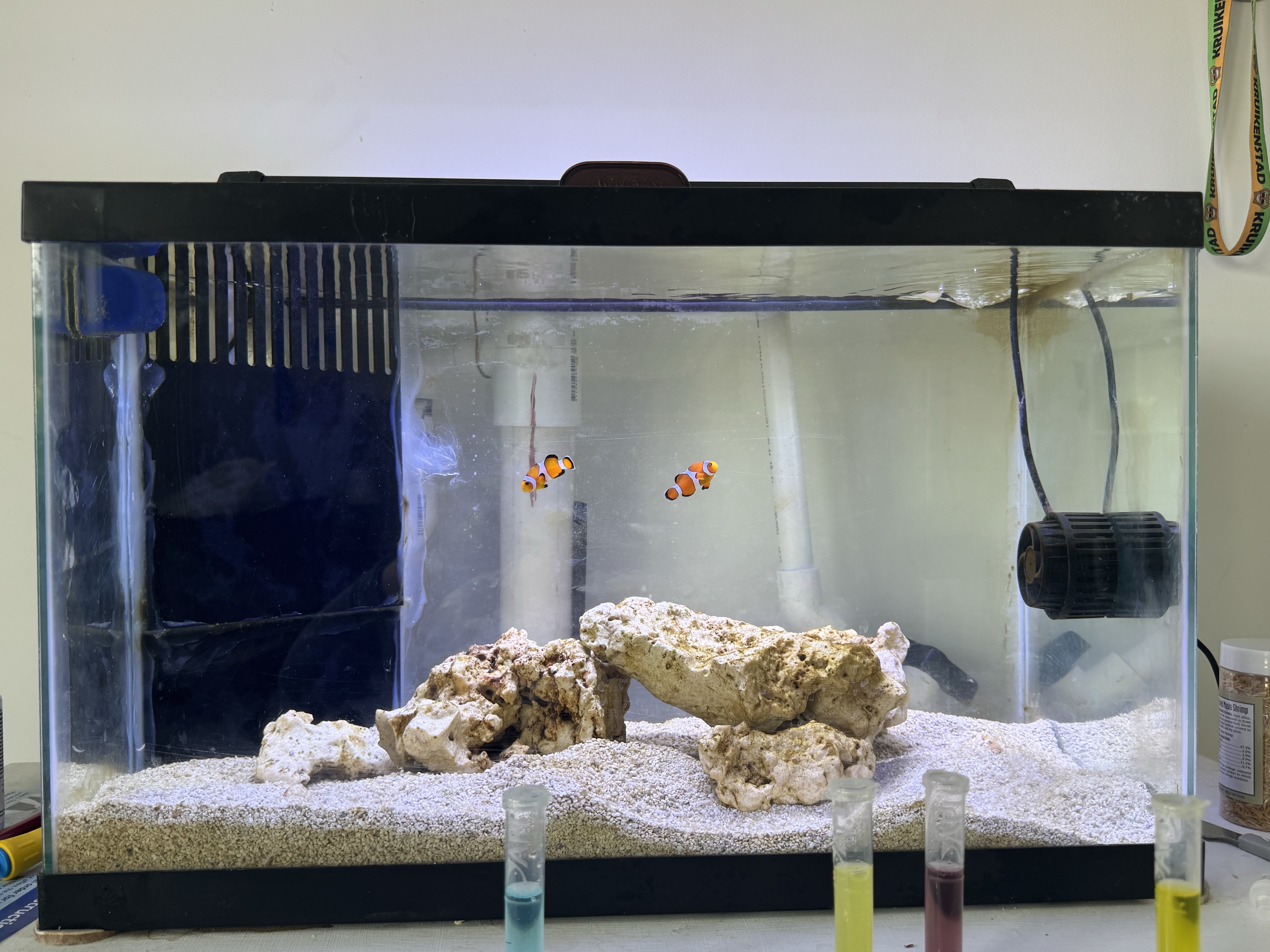 Tank Image
