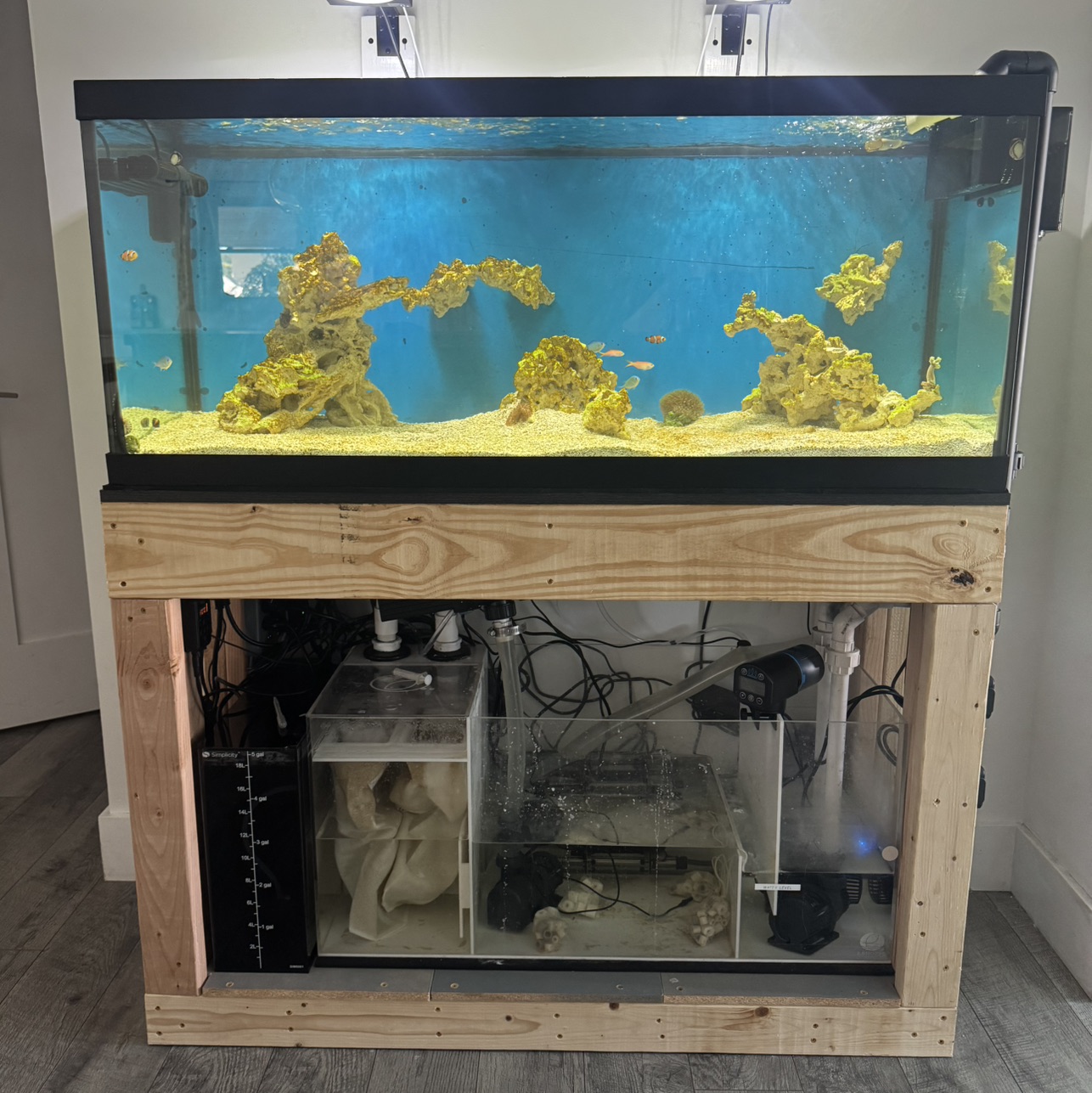 Tank Image