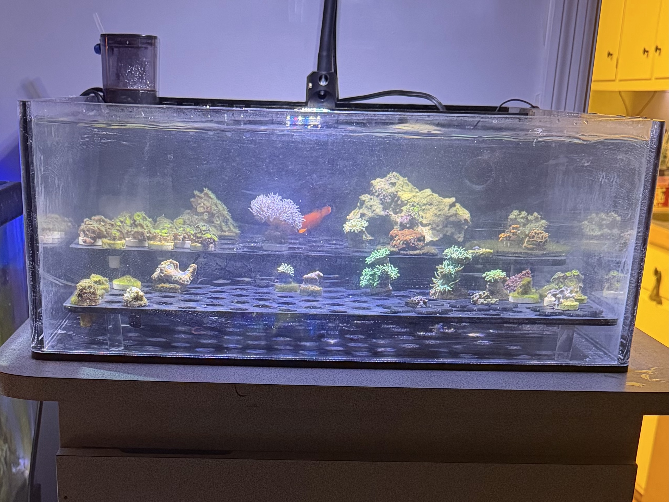 Tank Image