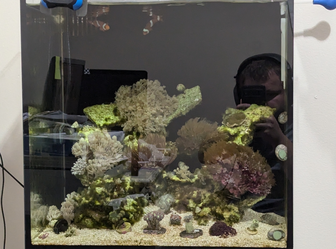 Tank Image