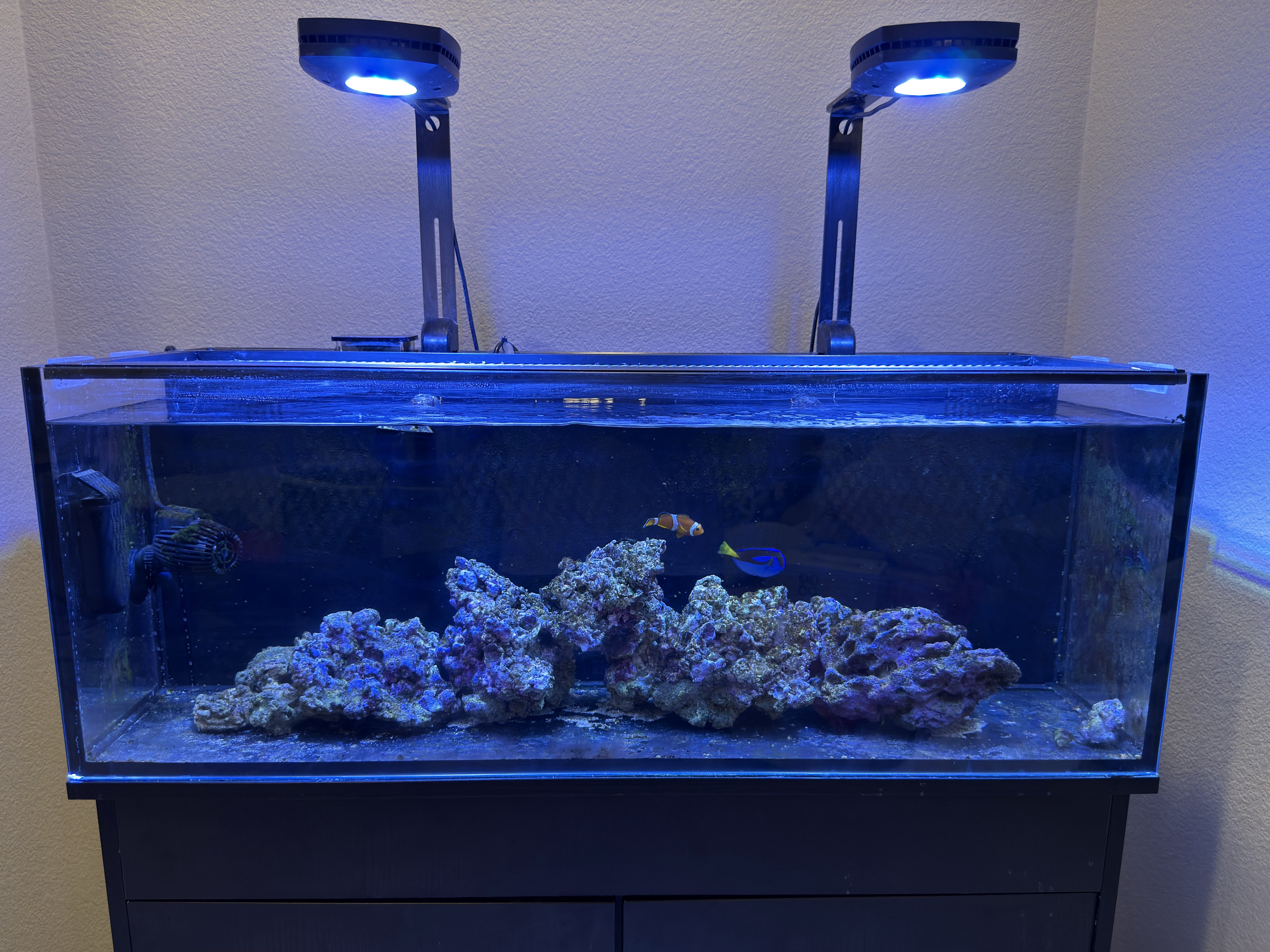 Tank Image
