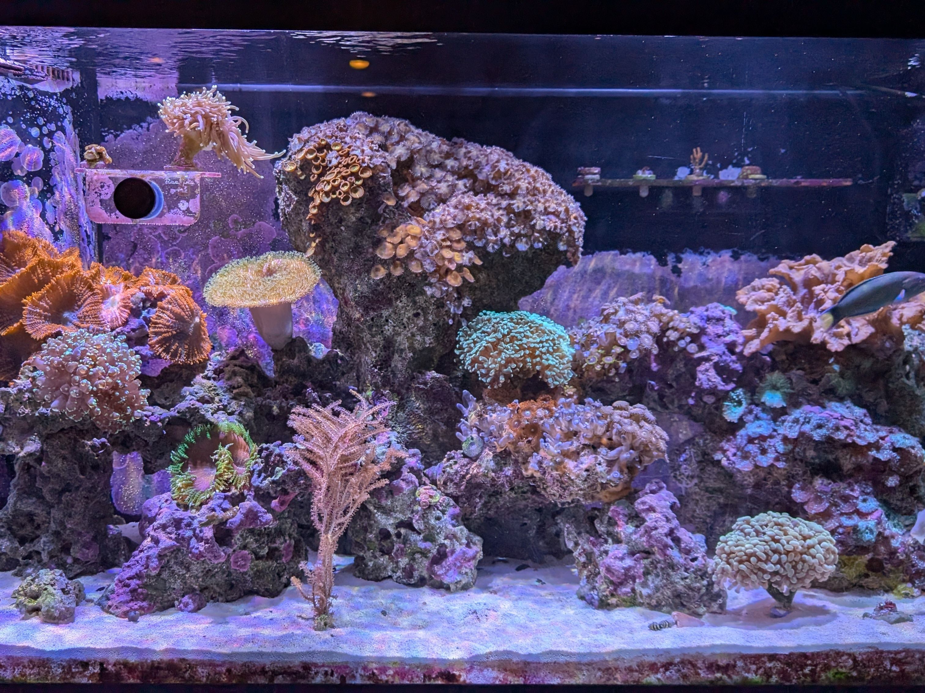 Tank Image