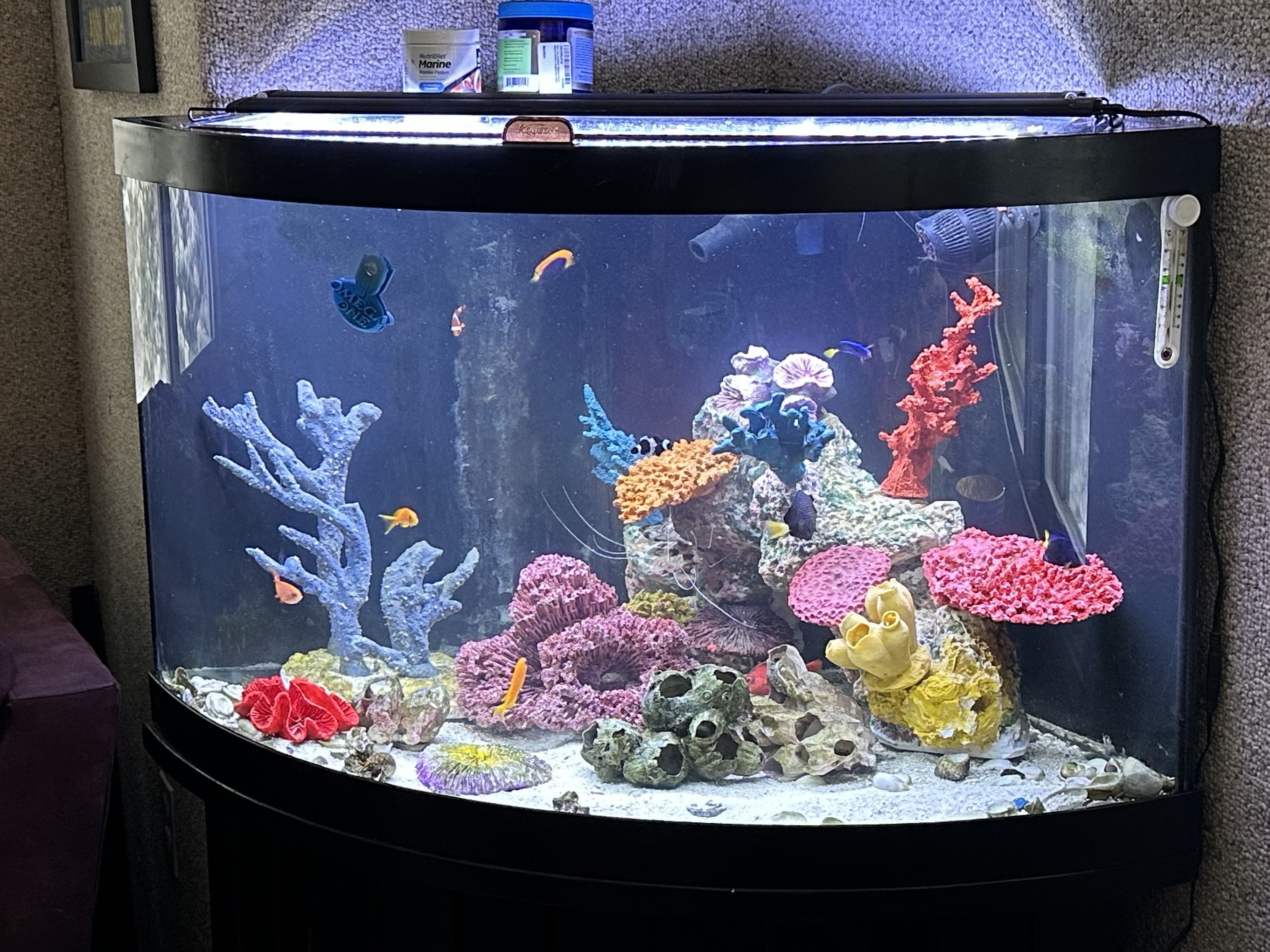 Tank Image