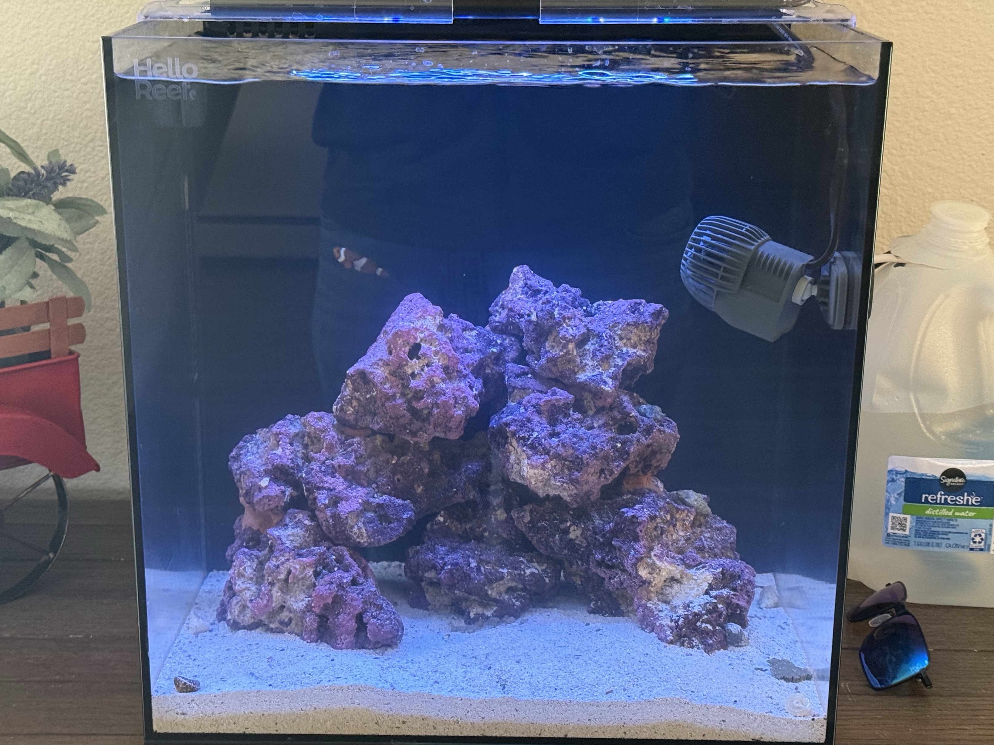 Tank Image