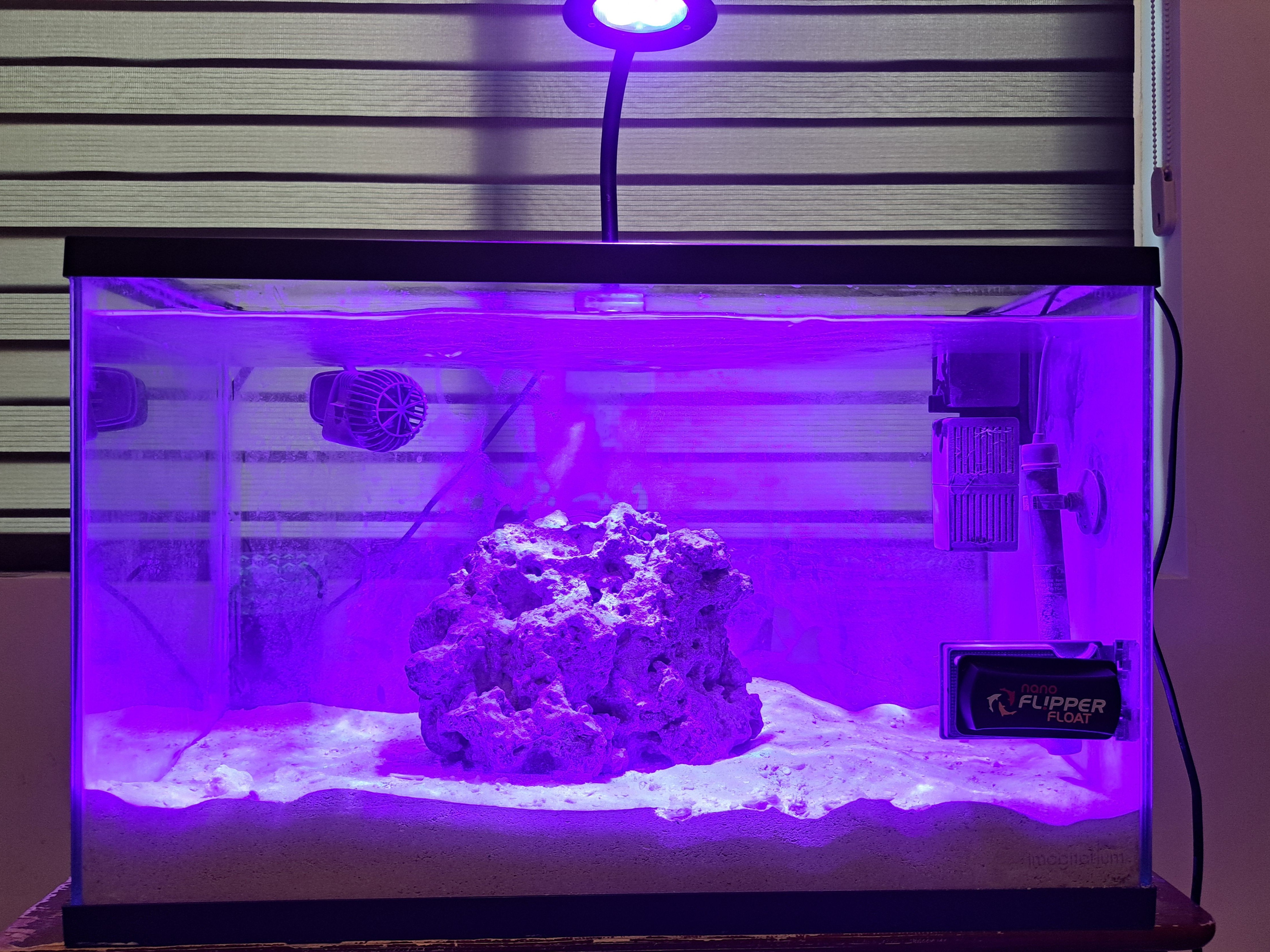 Tank Image