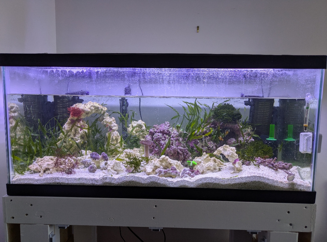 Tank Image