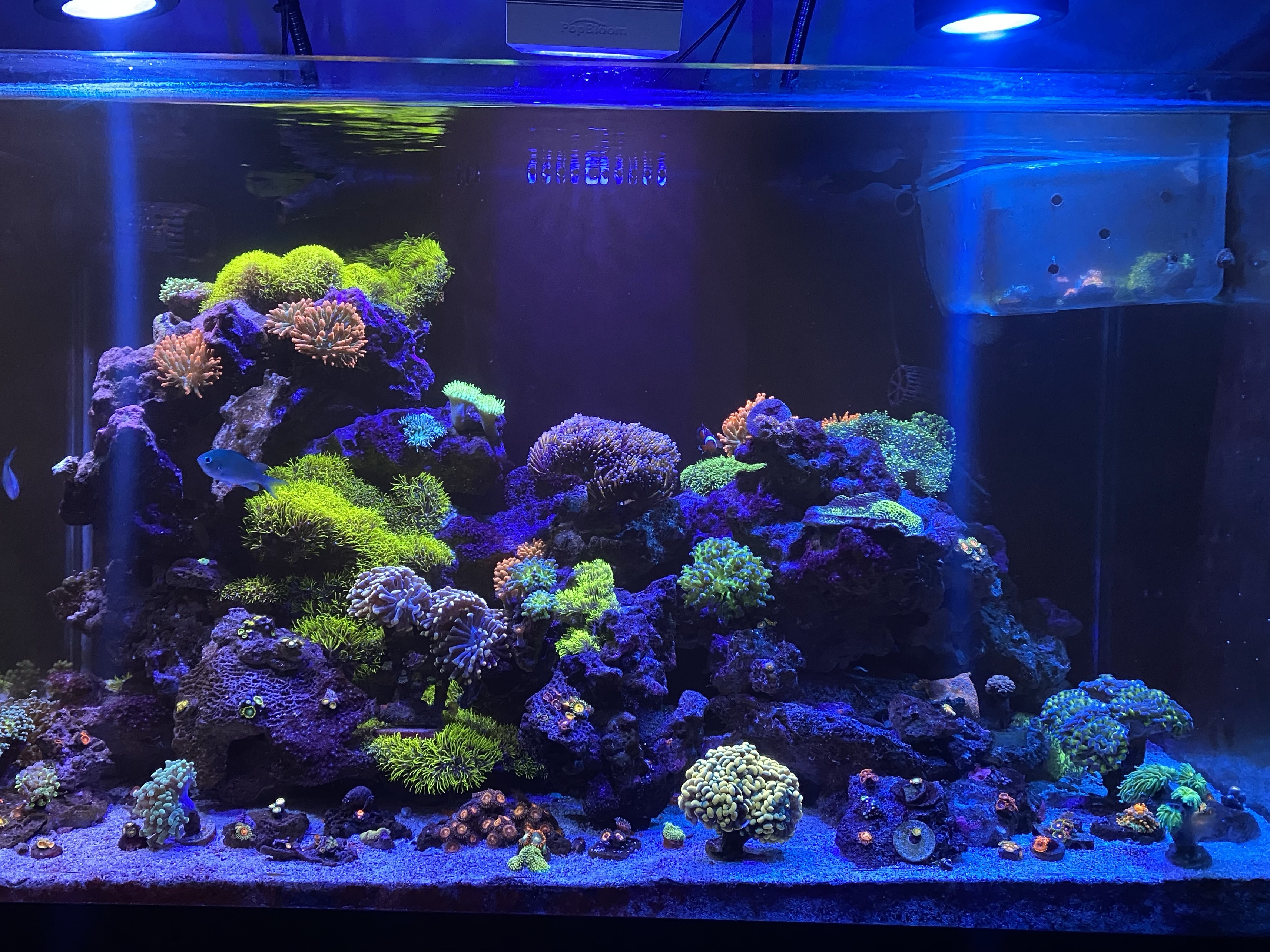 Tank Image