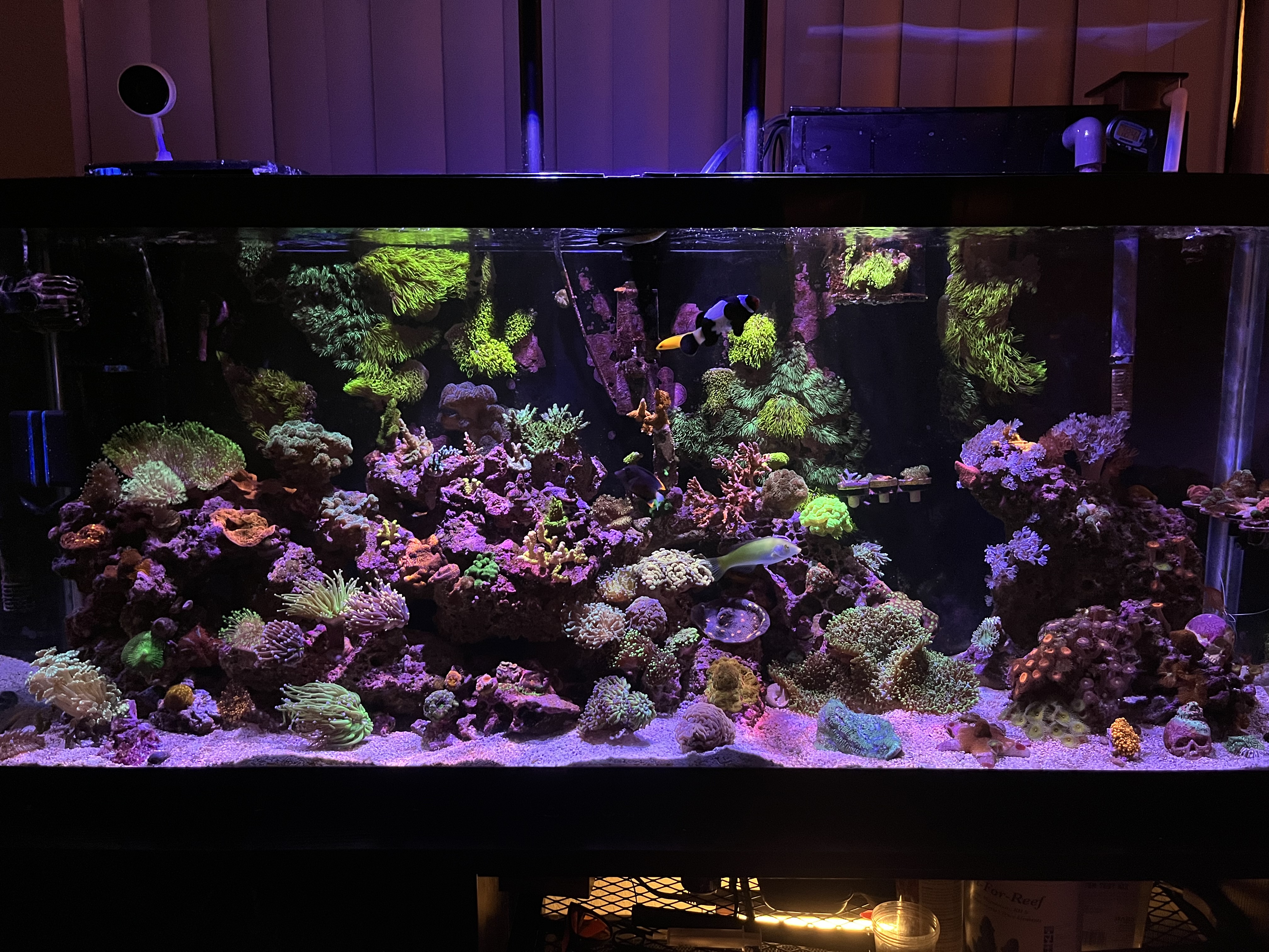 Tank Image