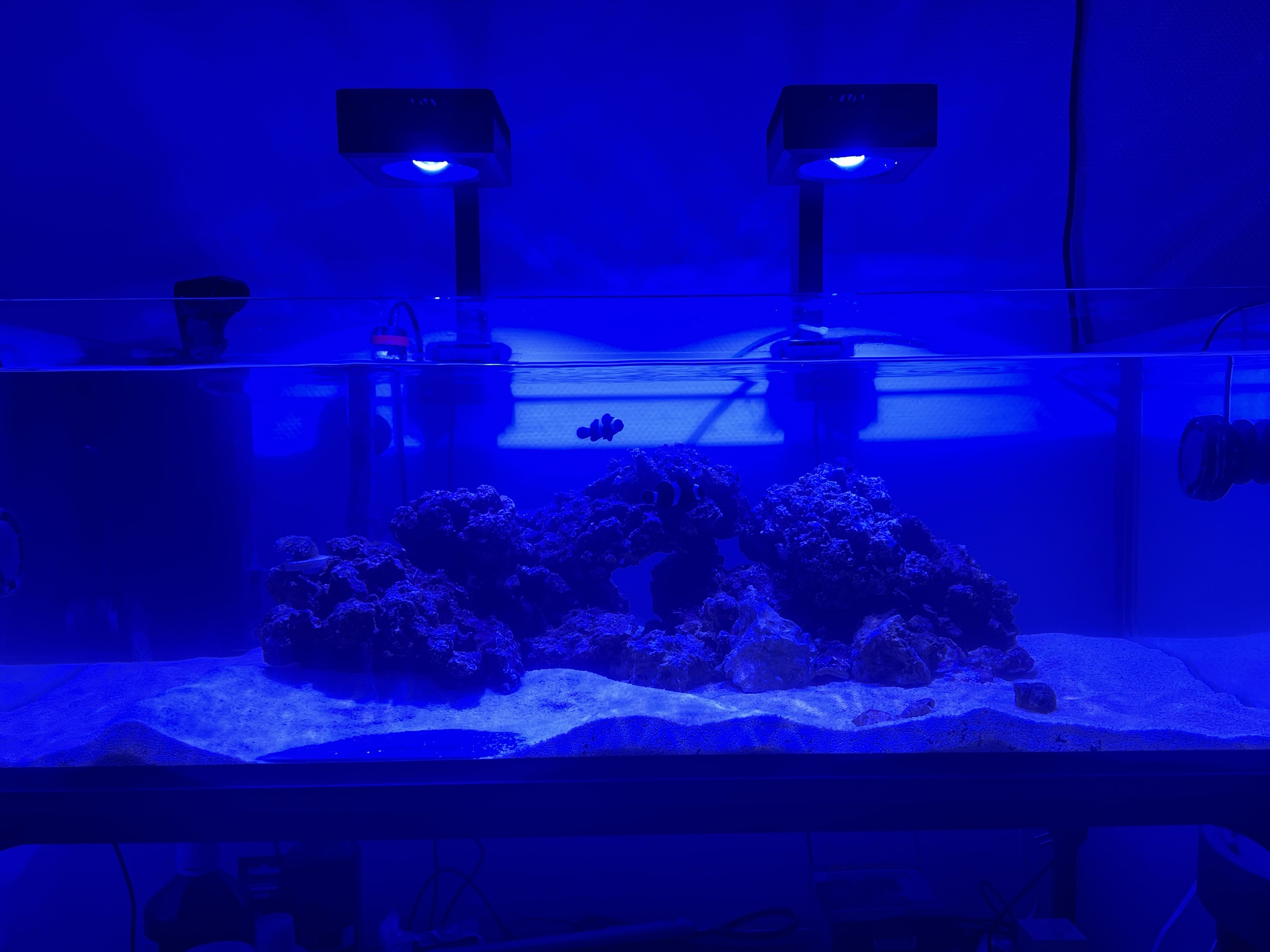Tank Image