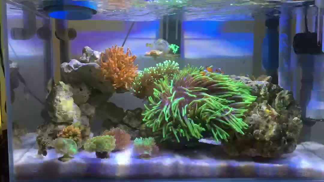 ReefBay post