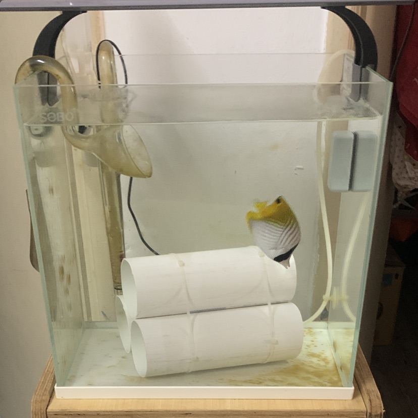 Tank Image