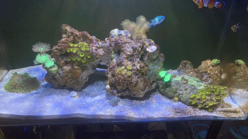 Tank Image