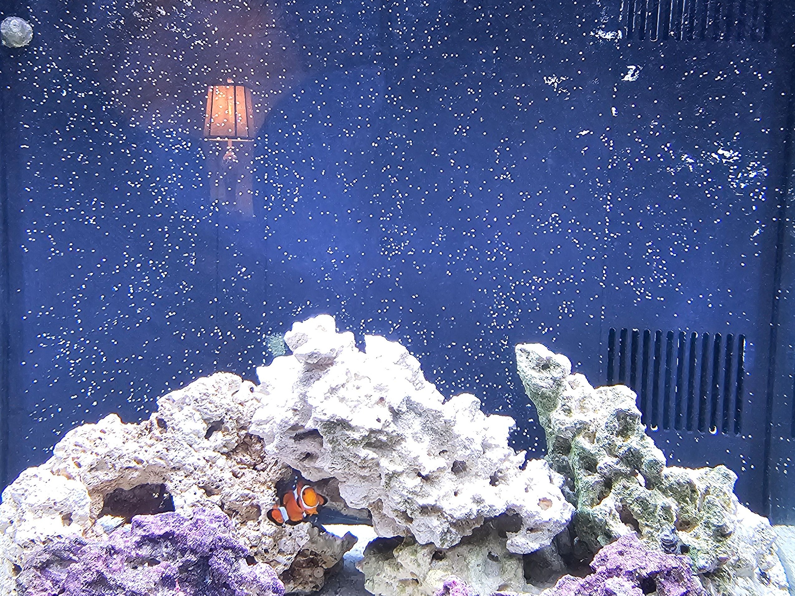 Tank Image