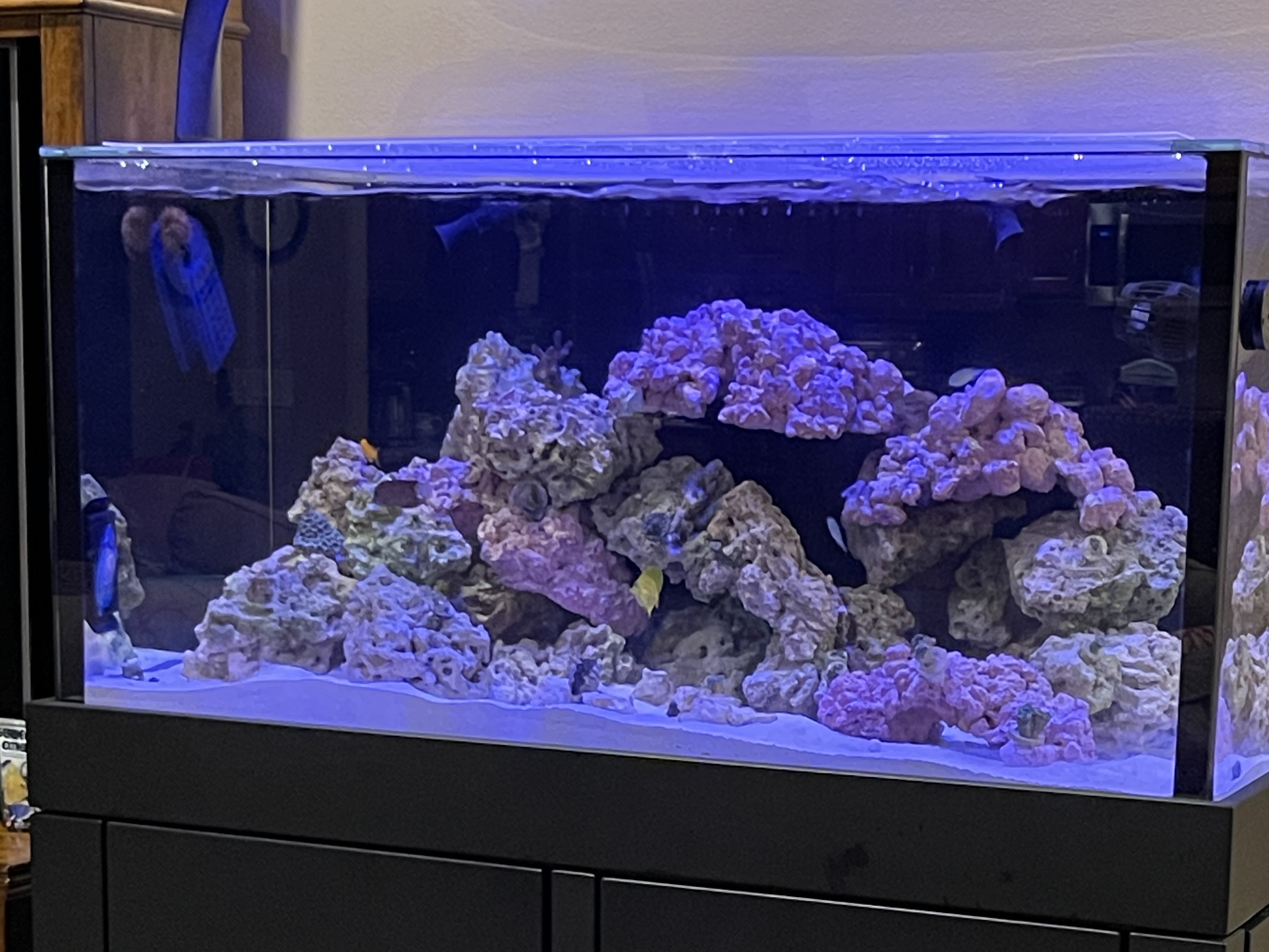 Tank Image