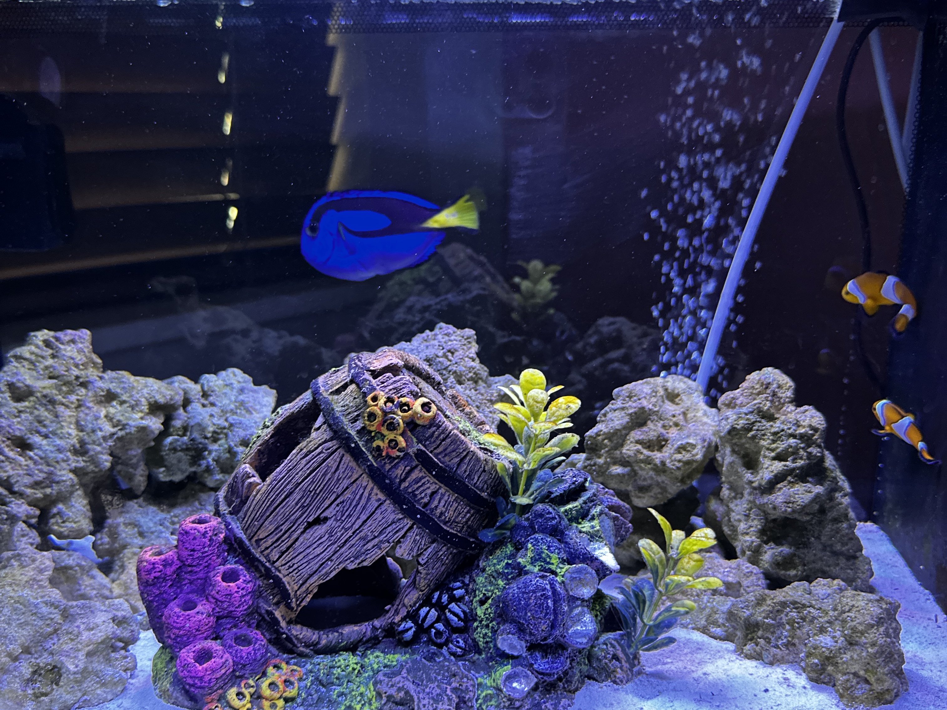 Tank Image