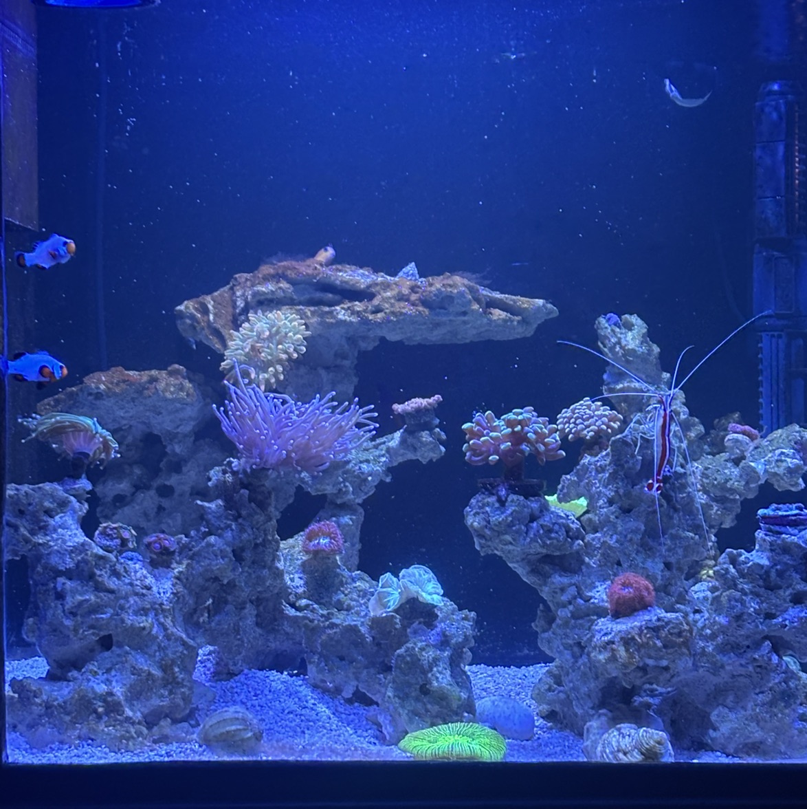 Tank Image