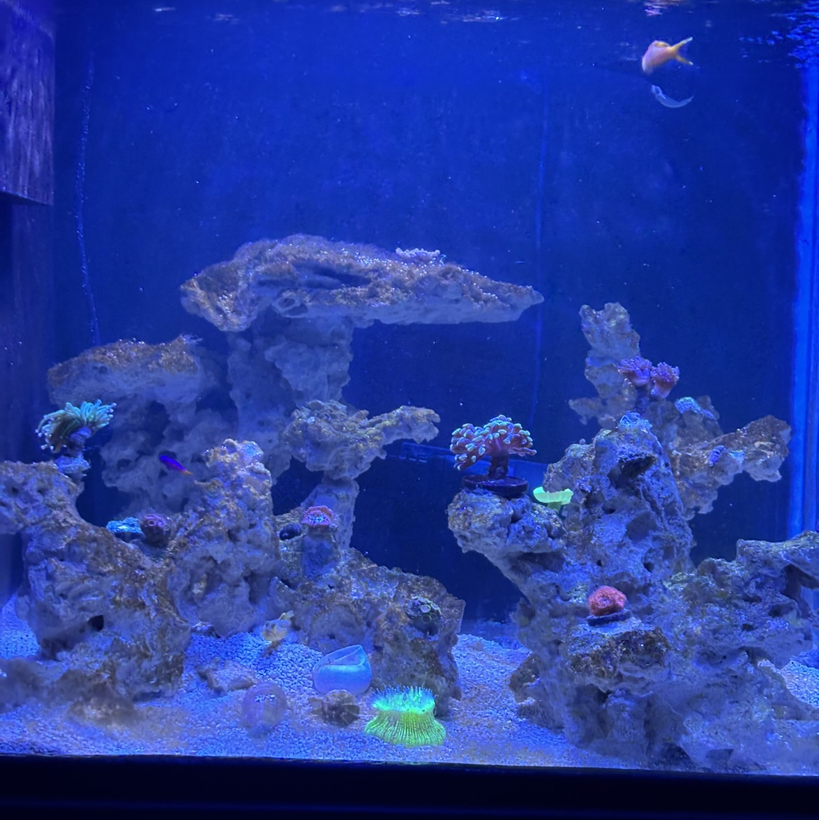 Tank Image