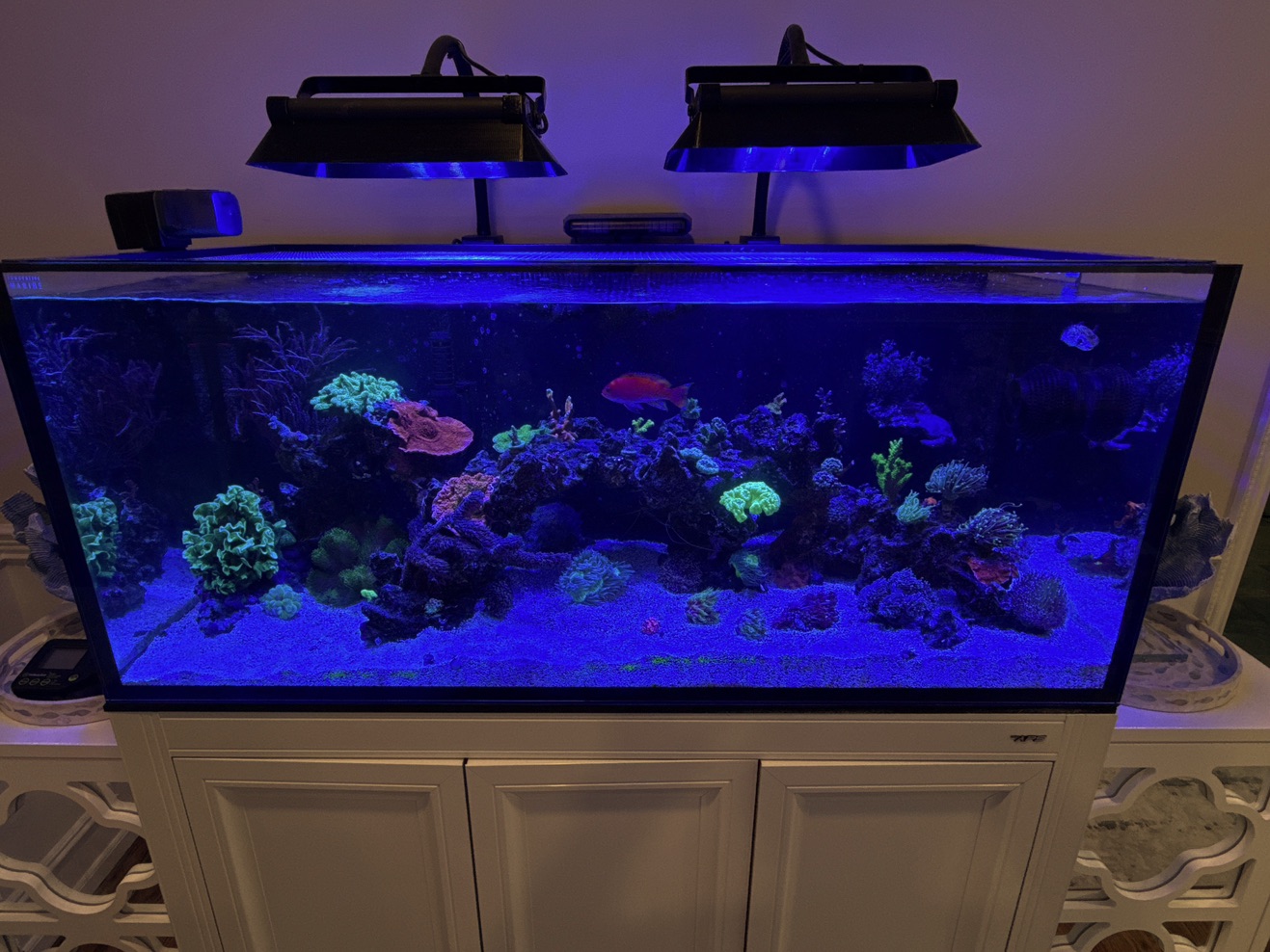 Tank Image