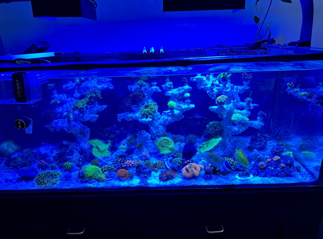 Tank Image