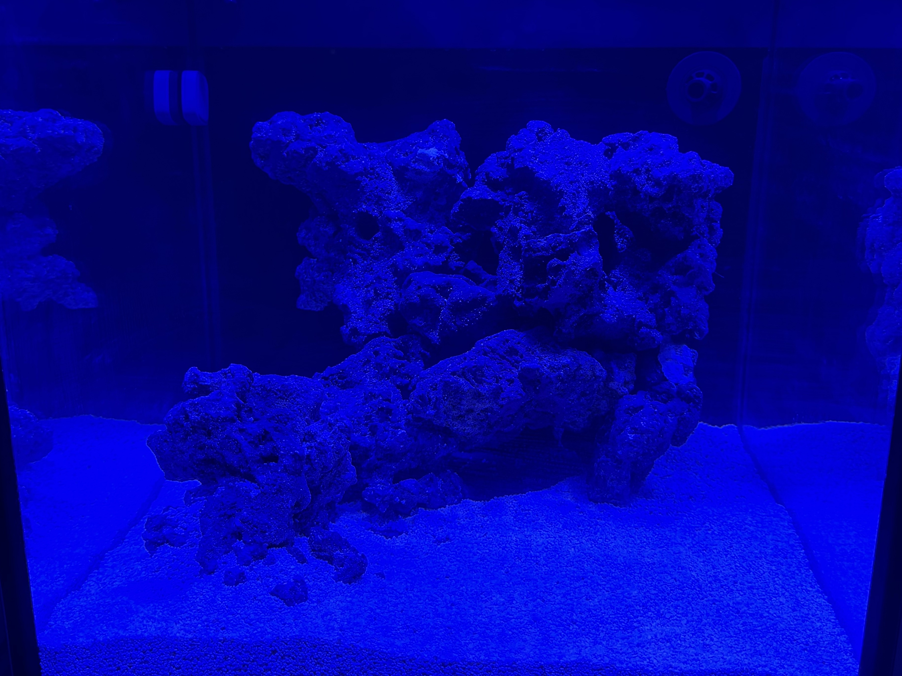 Tank Image