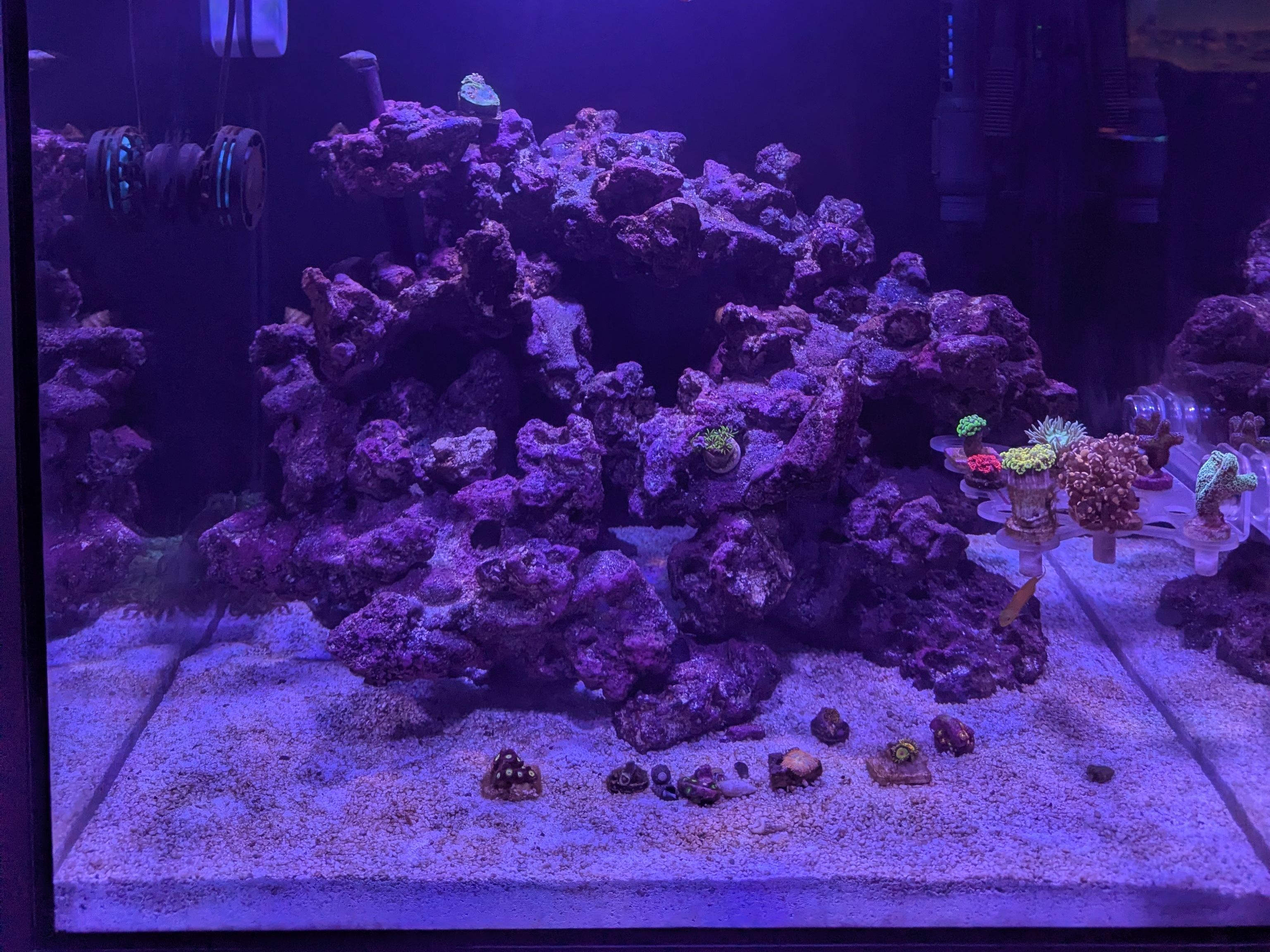 Tank Image