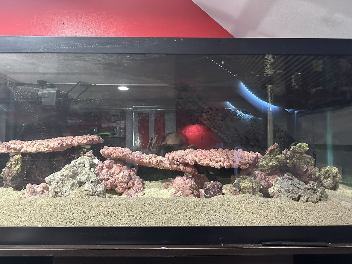 Tank Image
