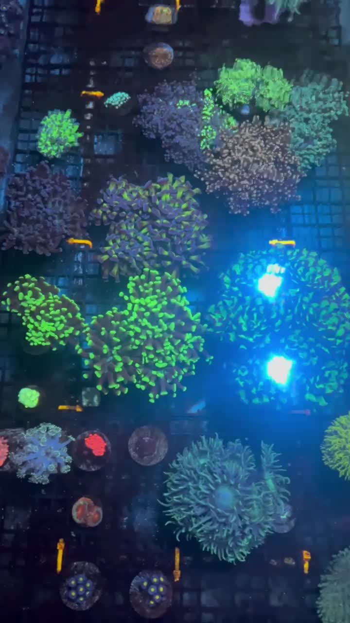 ReefBay Post
