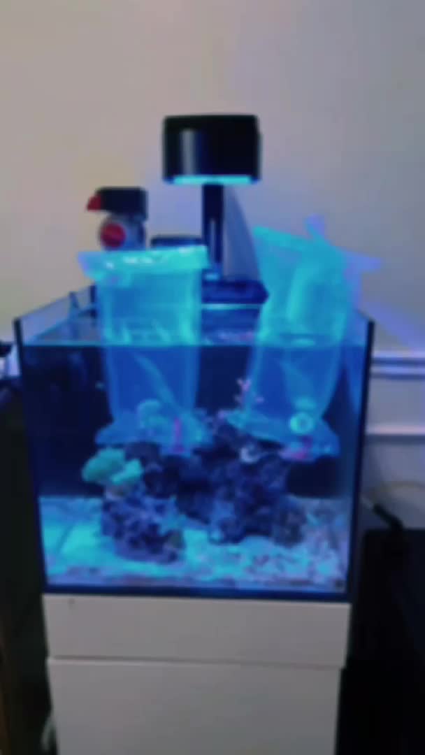 ReefBay post