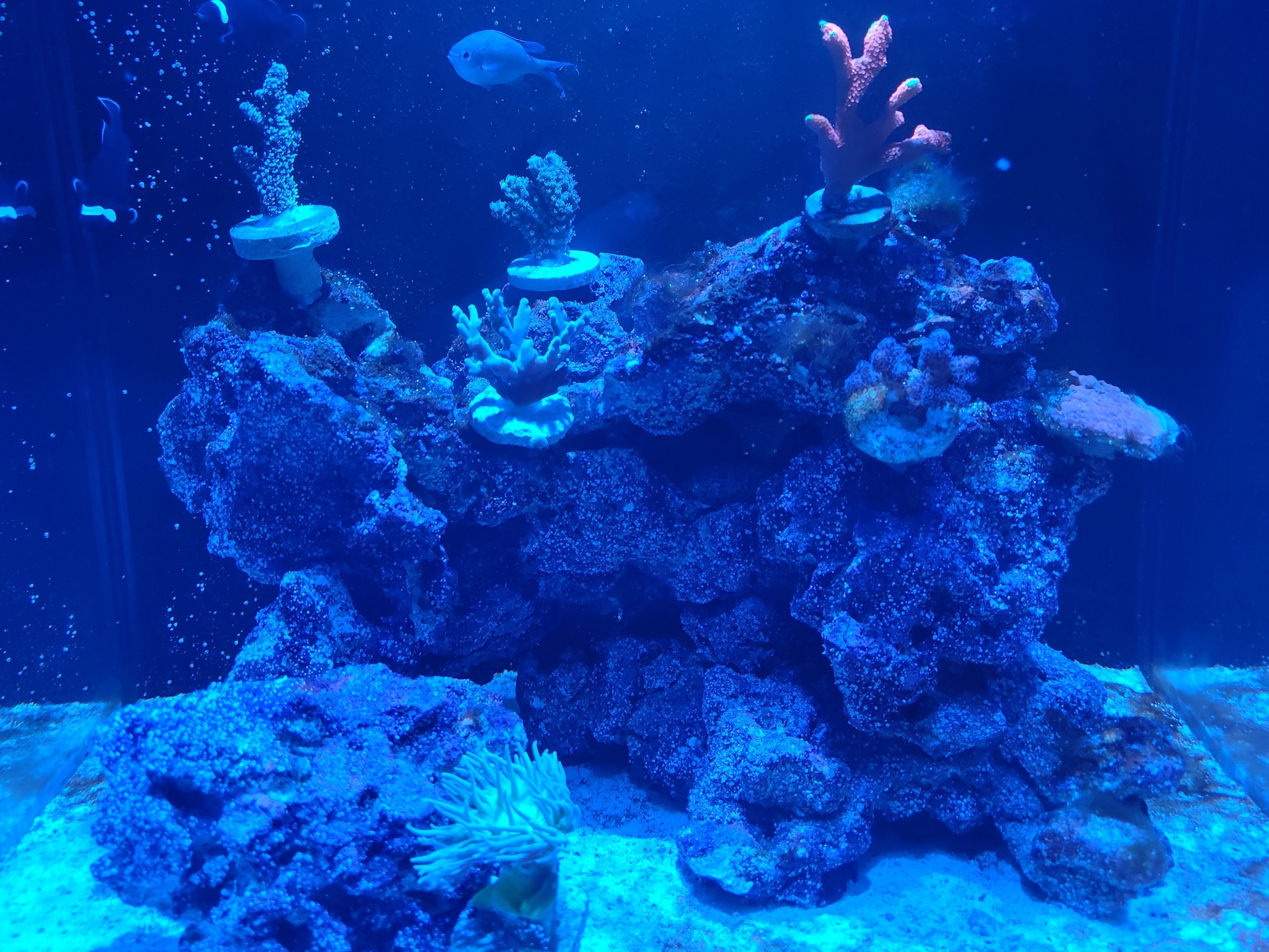 Tank Image