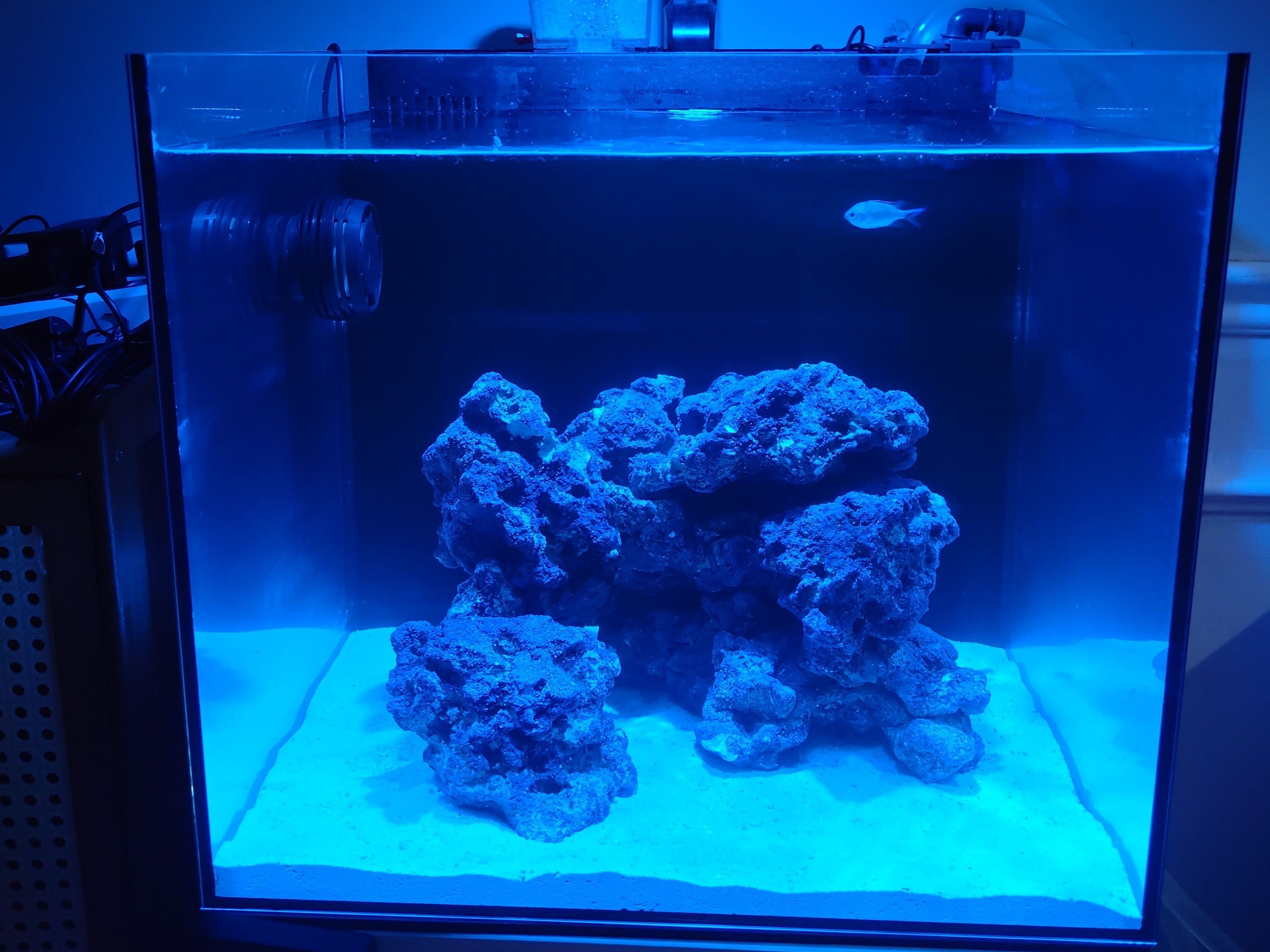 Tank Image