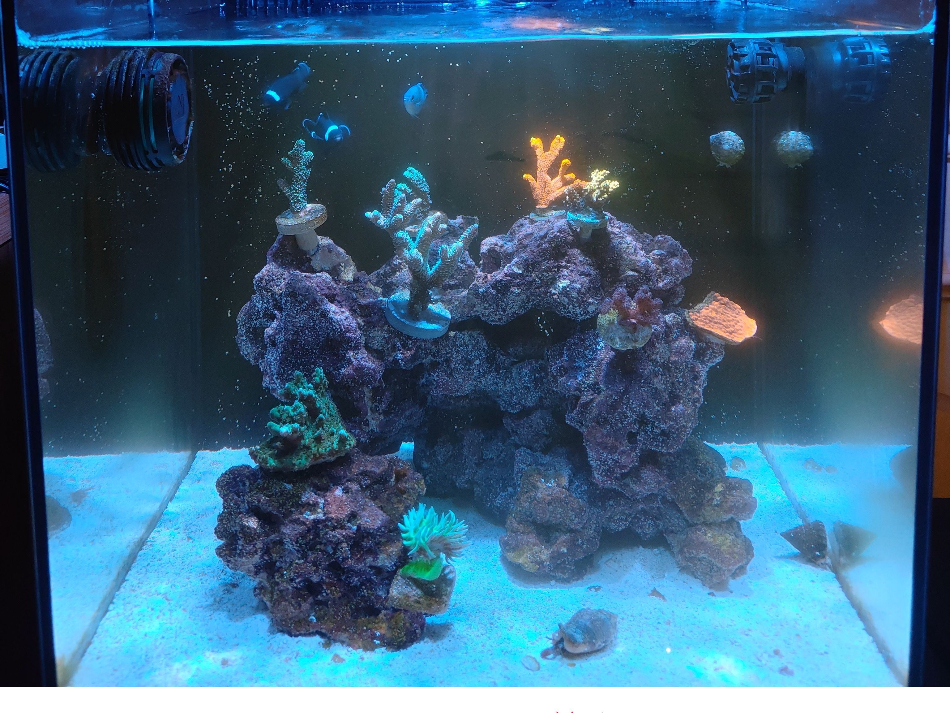 Tank Image