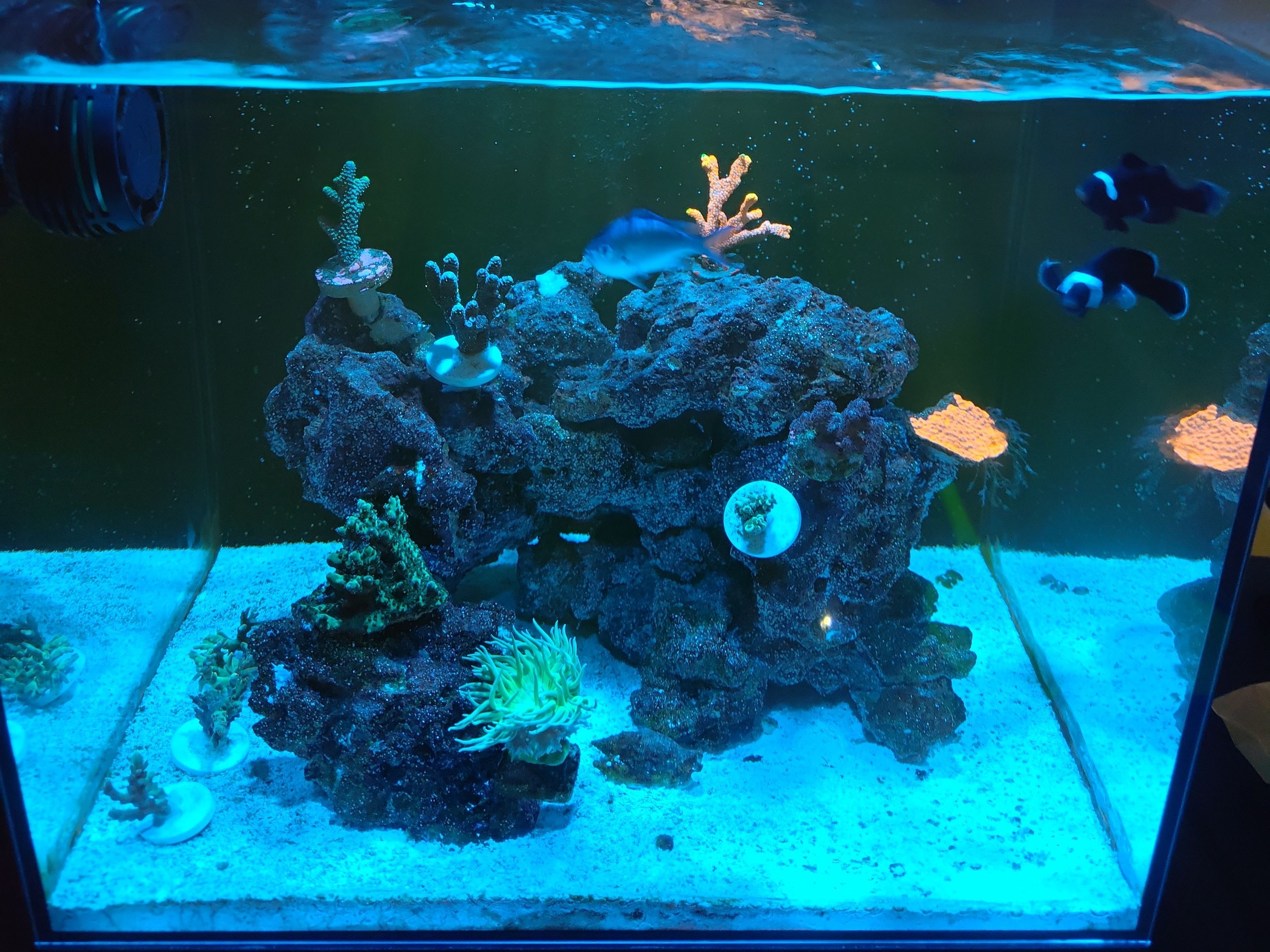 Tank Image