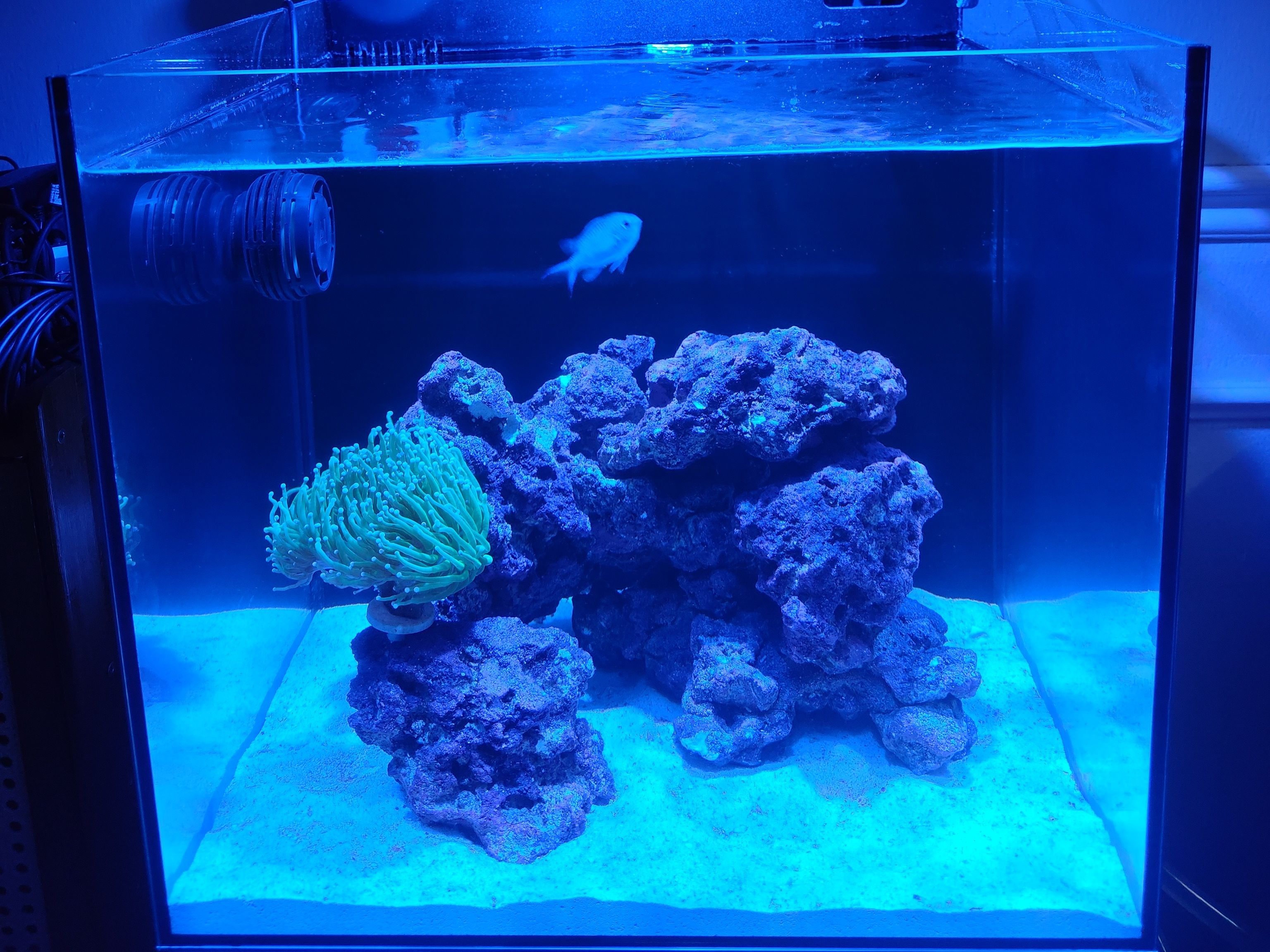 Tank Image