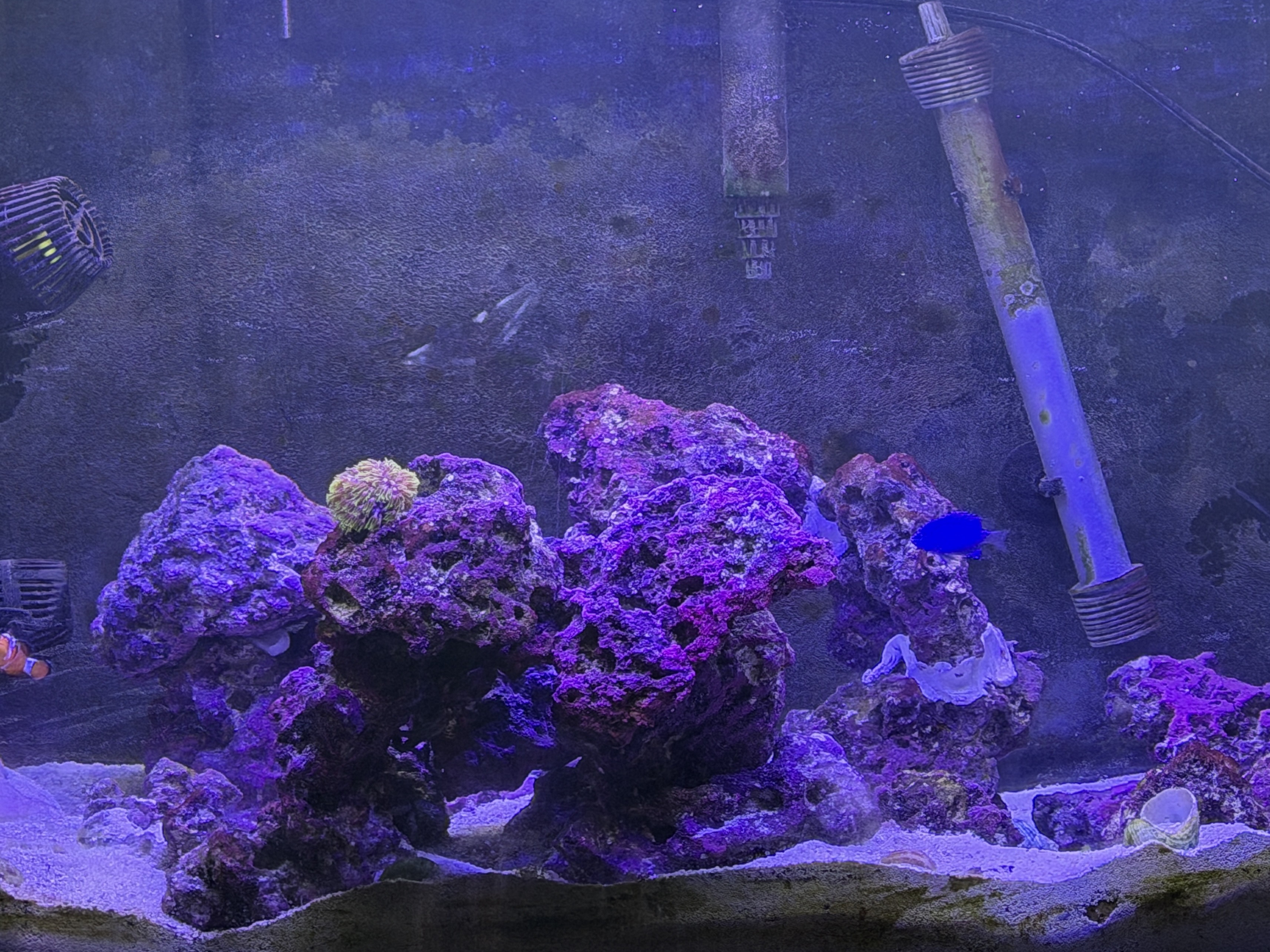 Tank Image